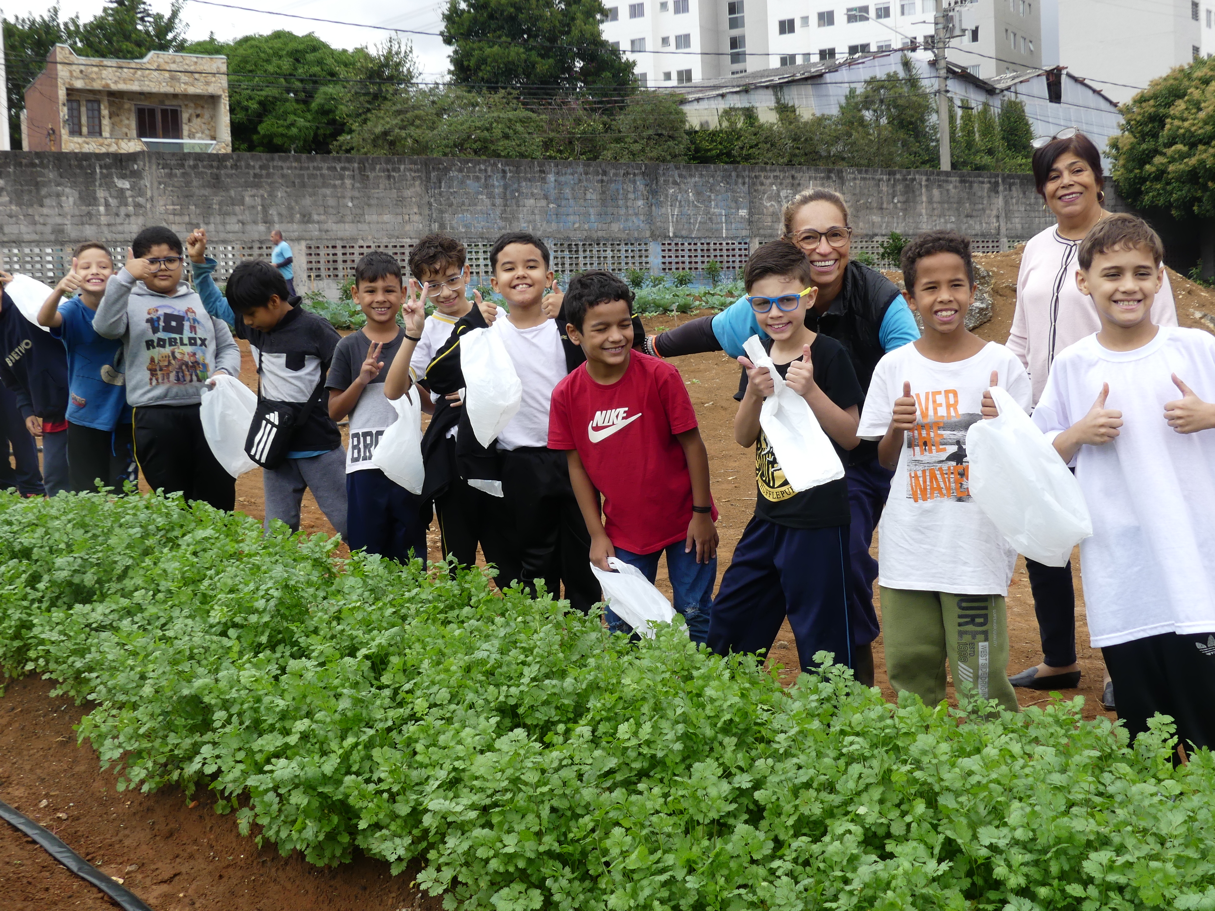 Kids lining up to harvest coriander