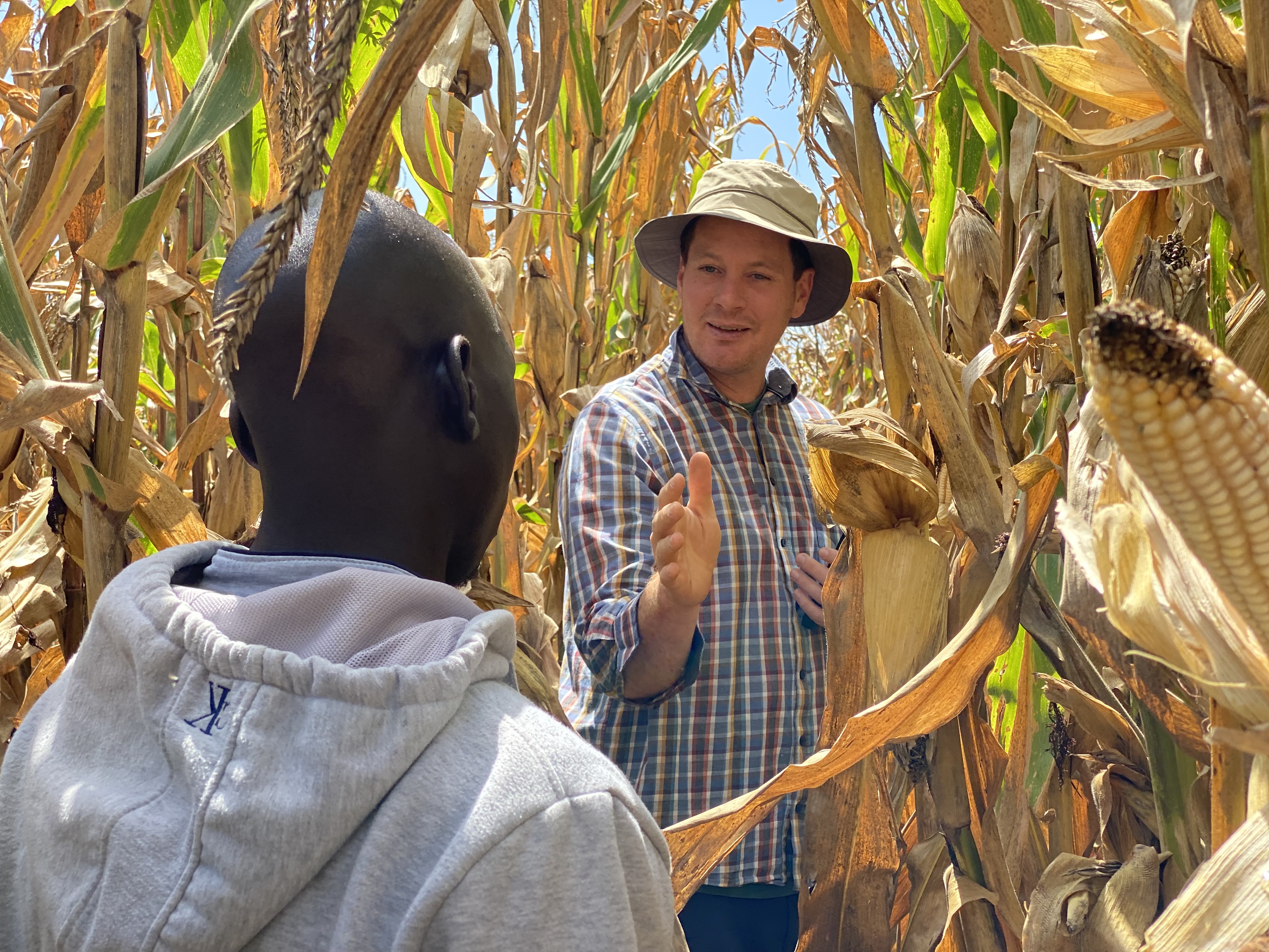 Don White with a farmer in a maize field