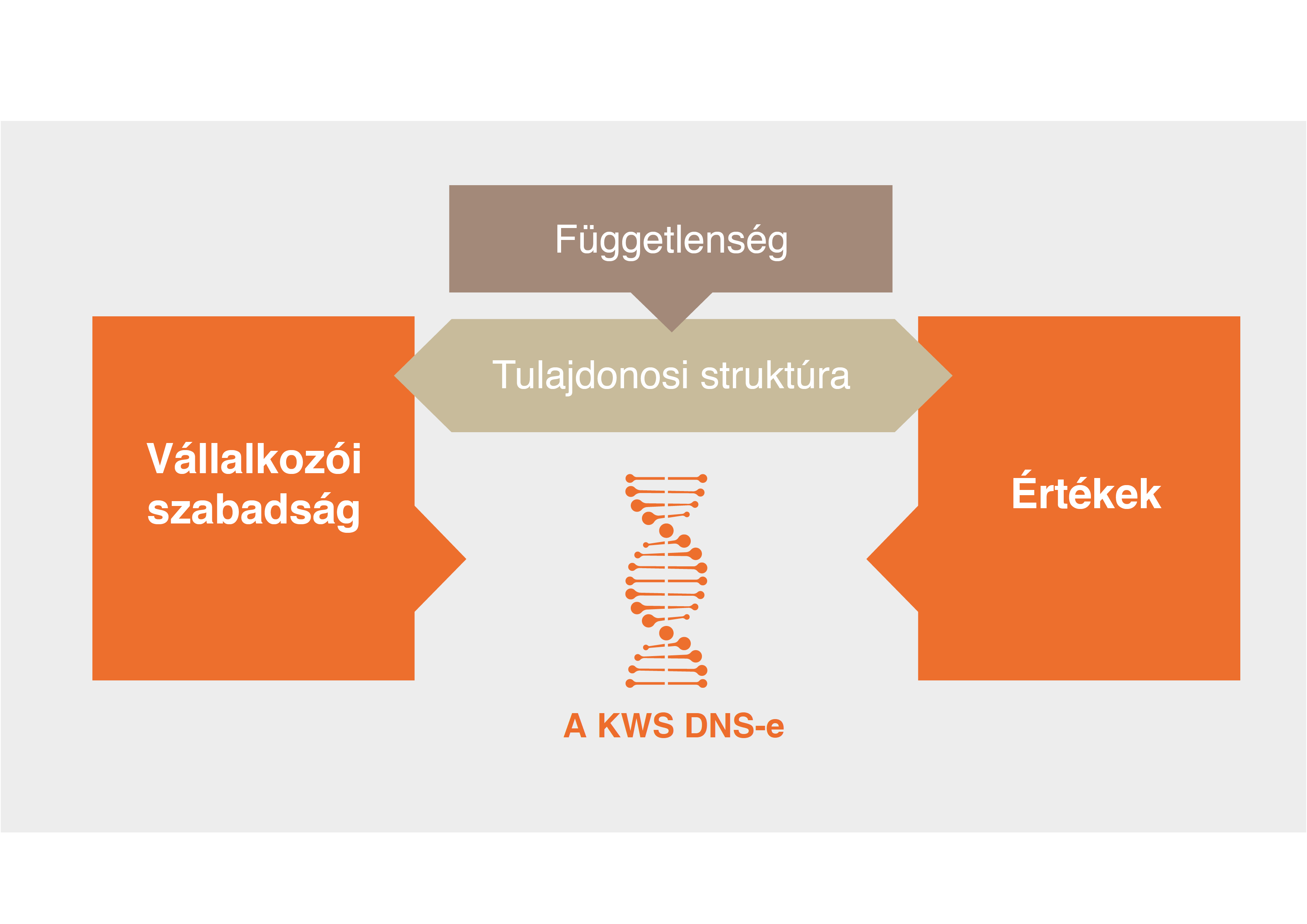 A KWS értékek DNS-e