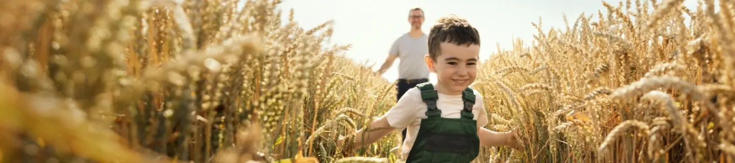 Small boy running through wheat field