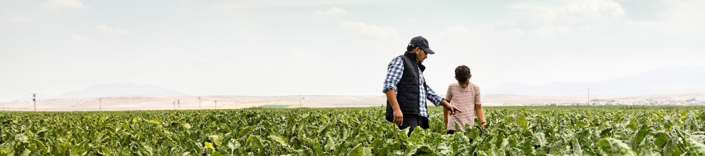 Father and son standing in sugarbeet field