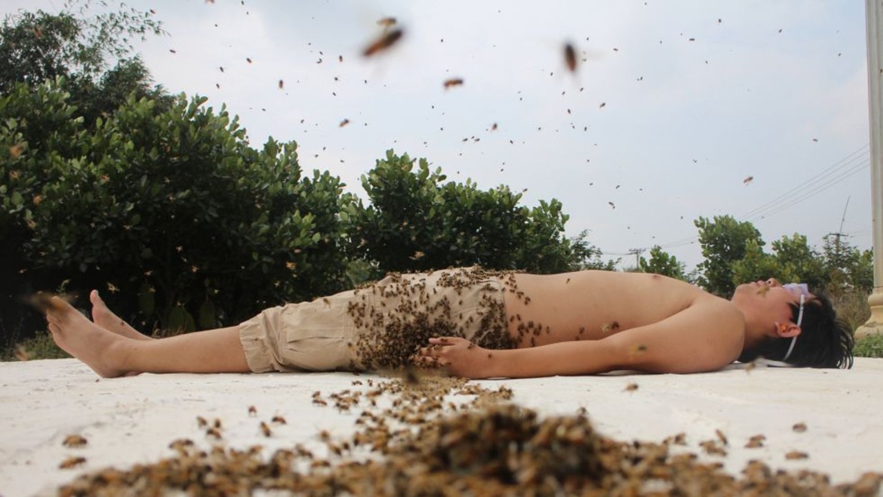 Künstler Ren Ri im Zusammenspiel mit den Bienen