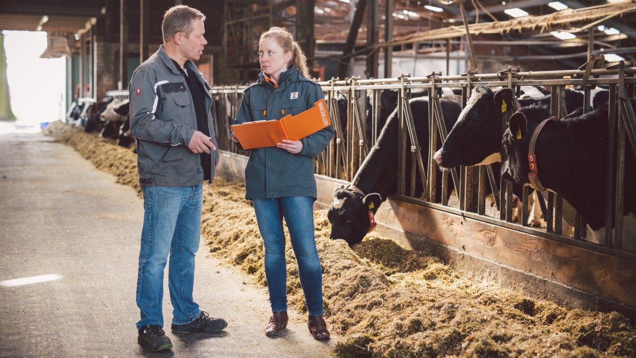 Von Sortenwahl bis Lagerung - Ulrike Jeche berät Landwirte zum Thema KWS Feedbeet