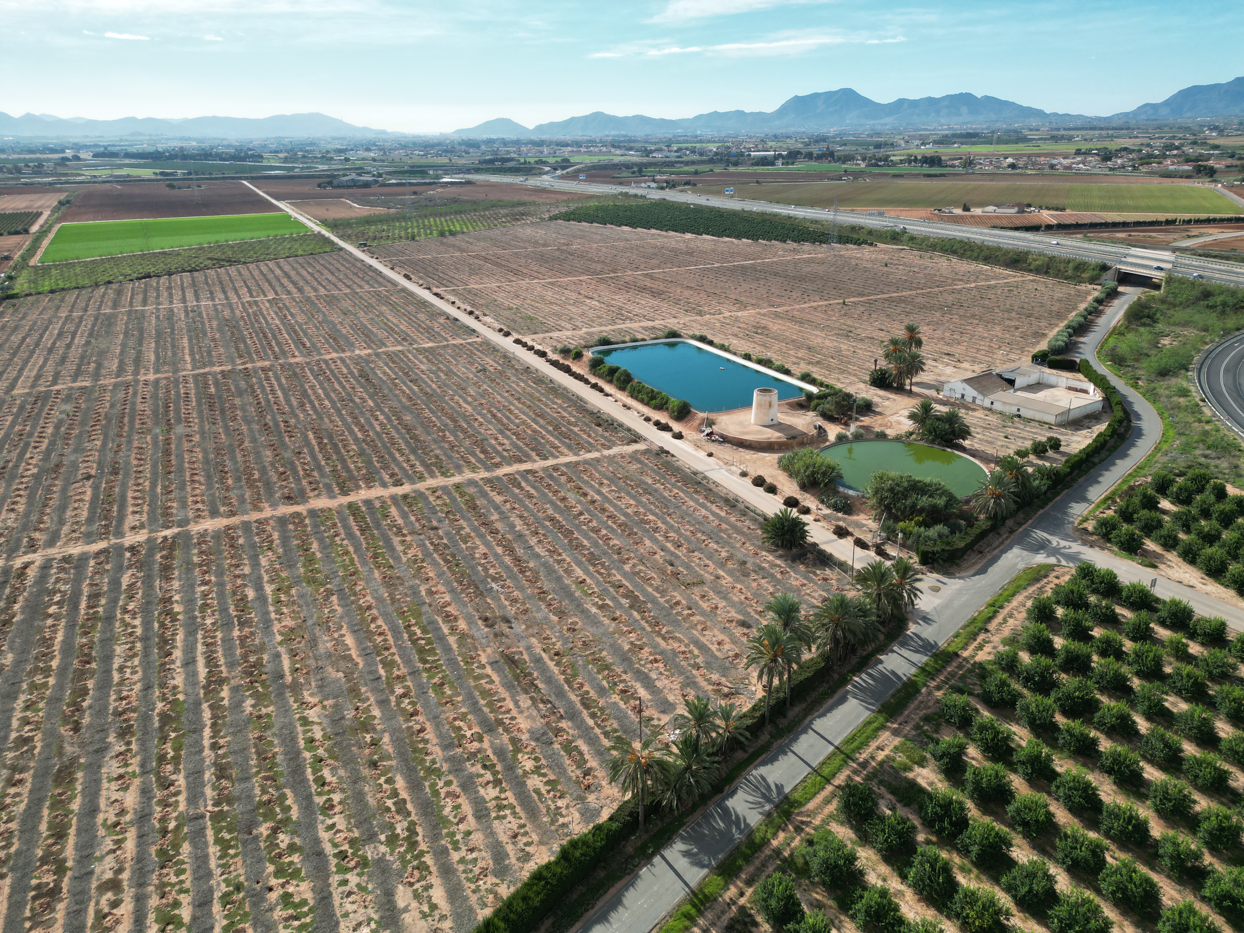 The recently acquired farm in Murcia, Spain.