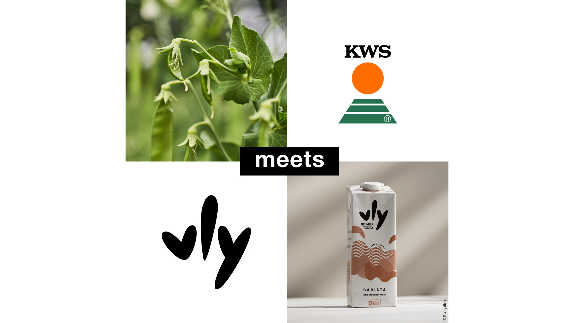 KWS partners with vly to further develop plant-based foods