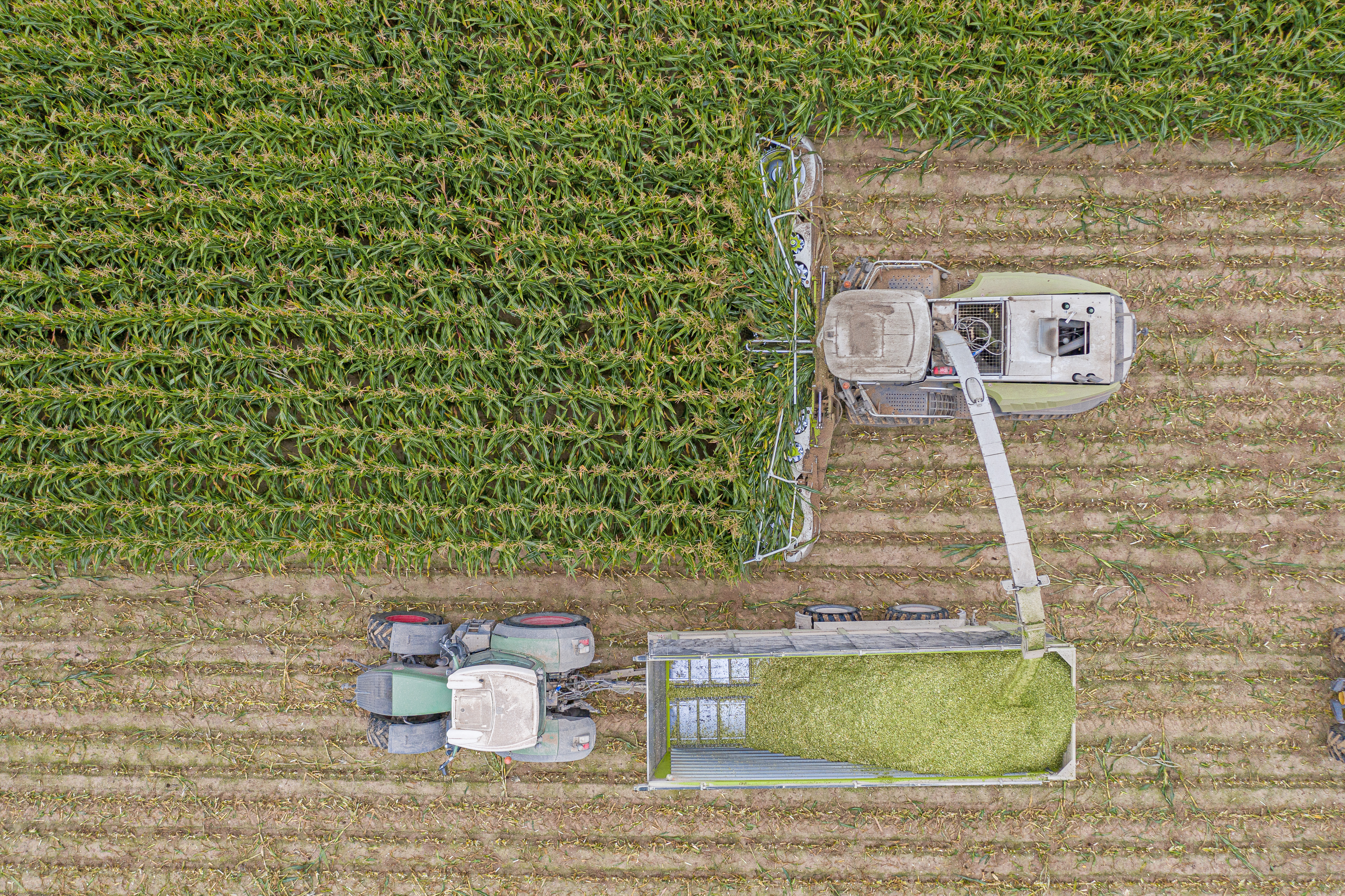 KWS0919_corn_harvest_DJI_0739.jpg