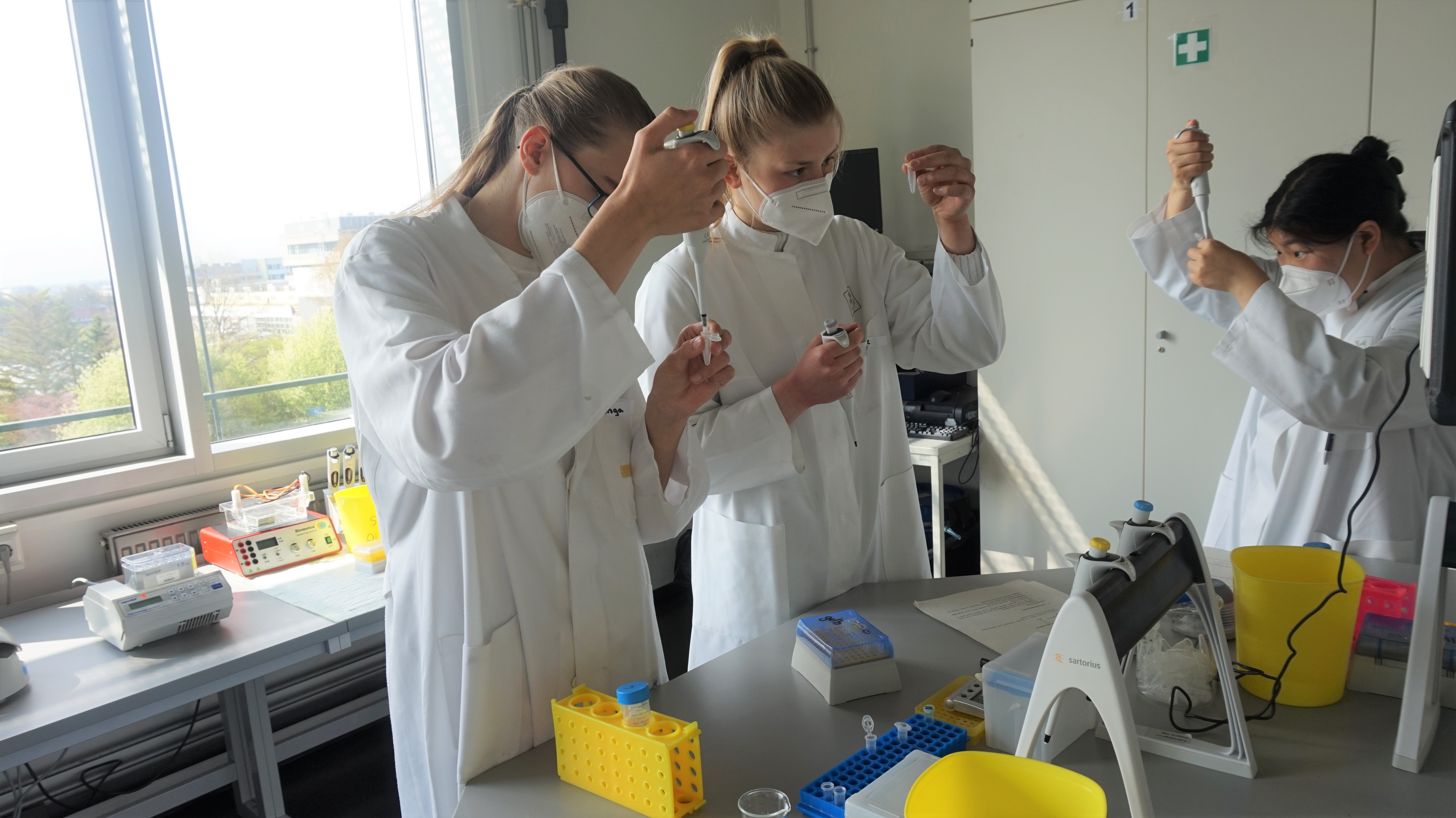 Schüler:innen im MINT-EC Schülercamp im XLAB in Göttingen, Experimente mit Pipetten im Labor