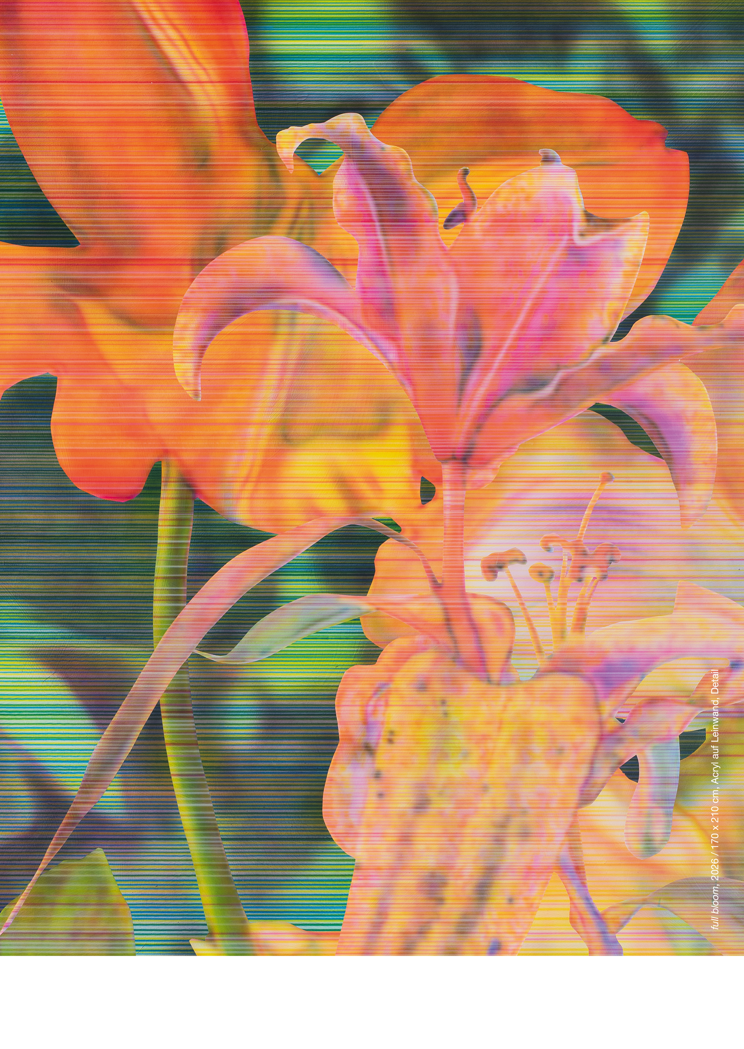 Full bloom, 2026 / 170 x 210 cm, acrylic on canvas (detail)