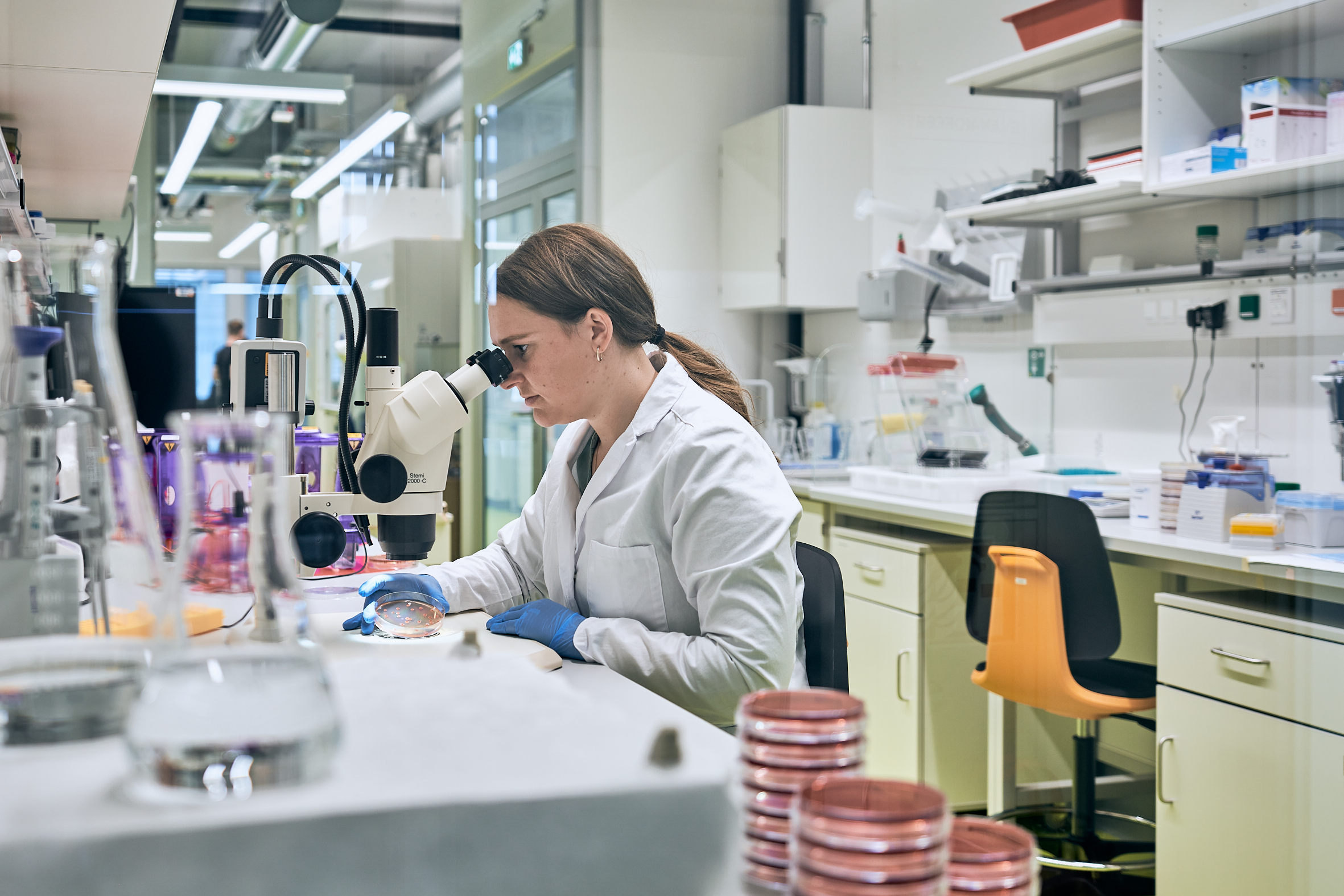 Im Labor überprüft Lisa Vollmer, Technische Assistentin Biologicals, die Überlebensrate biologischer Beizen