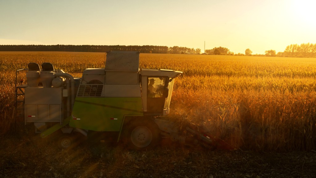 A chopper harvests corn on a field.