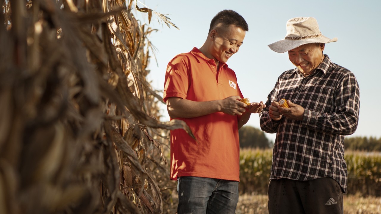 Farmer Zhanwu Wang and a KWS seed consultant standing on a cornfield.
