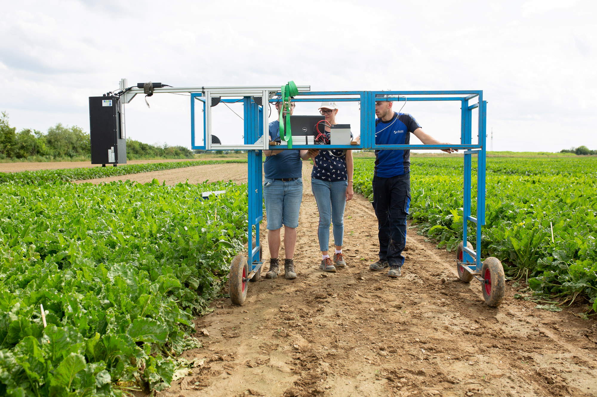 Forschungszentrum Jülich collects data on the infestation of sugar beet with the fungus Cercospora using the Lift system, which is mounted on a blue trolley. KWS test field in Plattling (Bavaria).