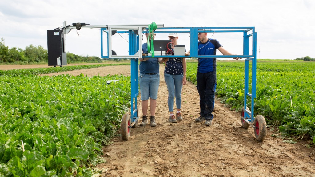 Forschungszentrum Jülich collects data on the infestation of sugar beet with the fungus Cercospora using the Lift system, which is mounted on a blue trolley. KWS test field in Plattling (Bavaria).