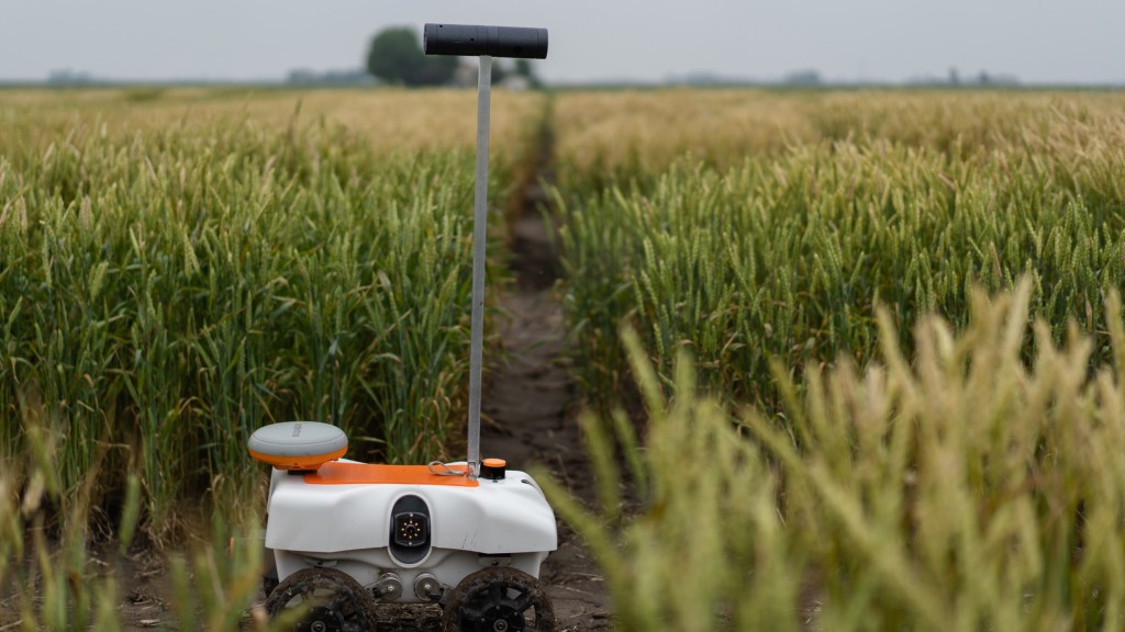 The TerraSentia robot of the agricultural start-up EarthSense drives through the plots of a wheat trial field. Two cameras are mounted in a tube on a mast at a height of about one meter.