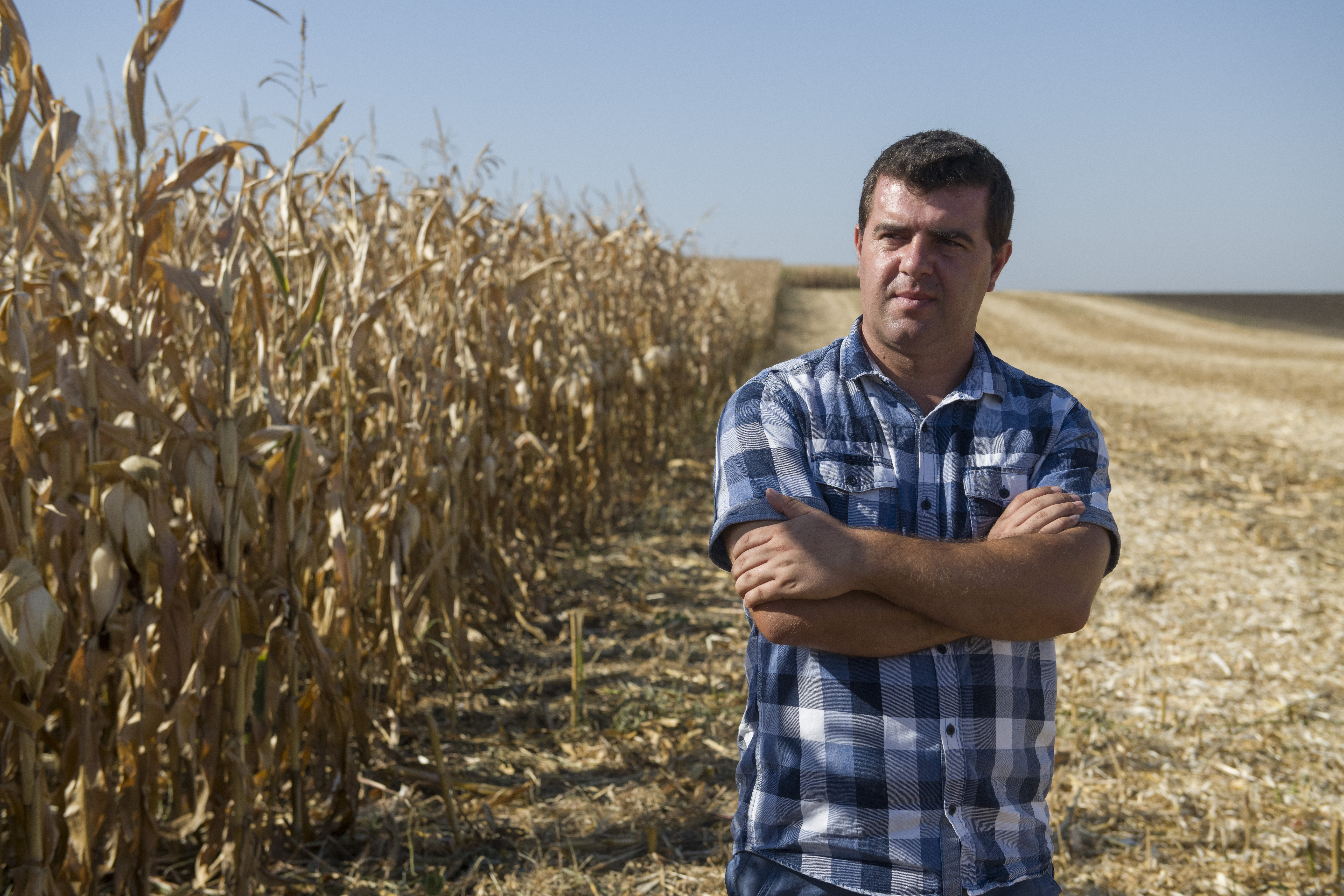 Arms crossed, farmer Marcu Răzvan stands before a dry corn field.