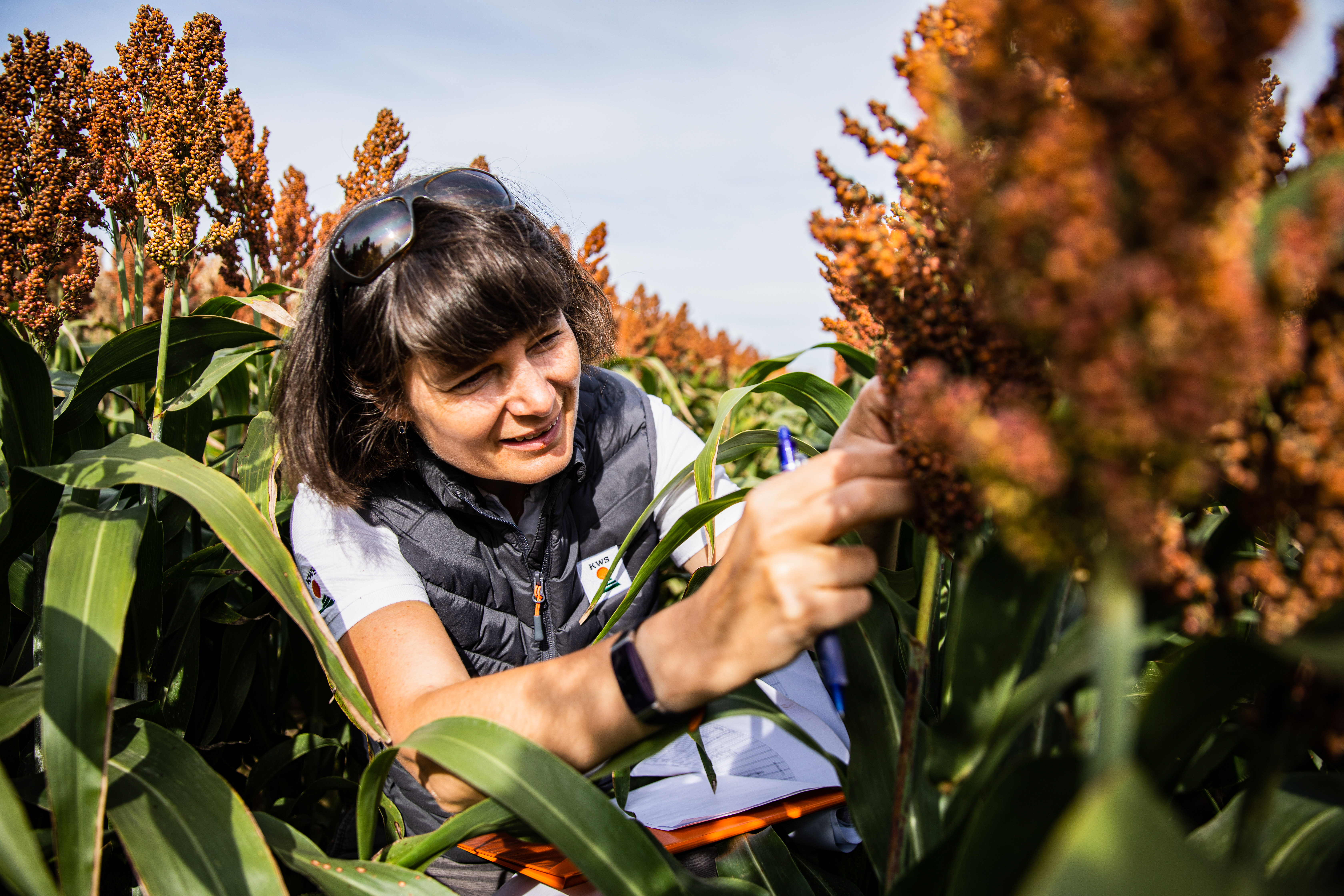 Dr Magdalena Buschmann works as Product manager Sorghum