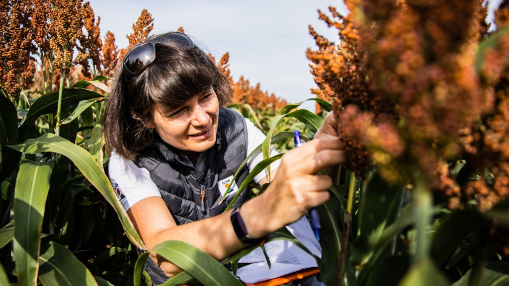 Dr Magdalena Buschmann works as Product manager Sorghum