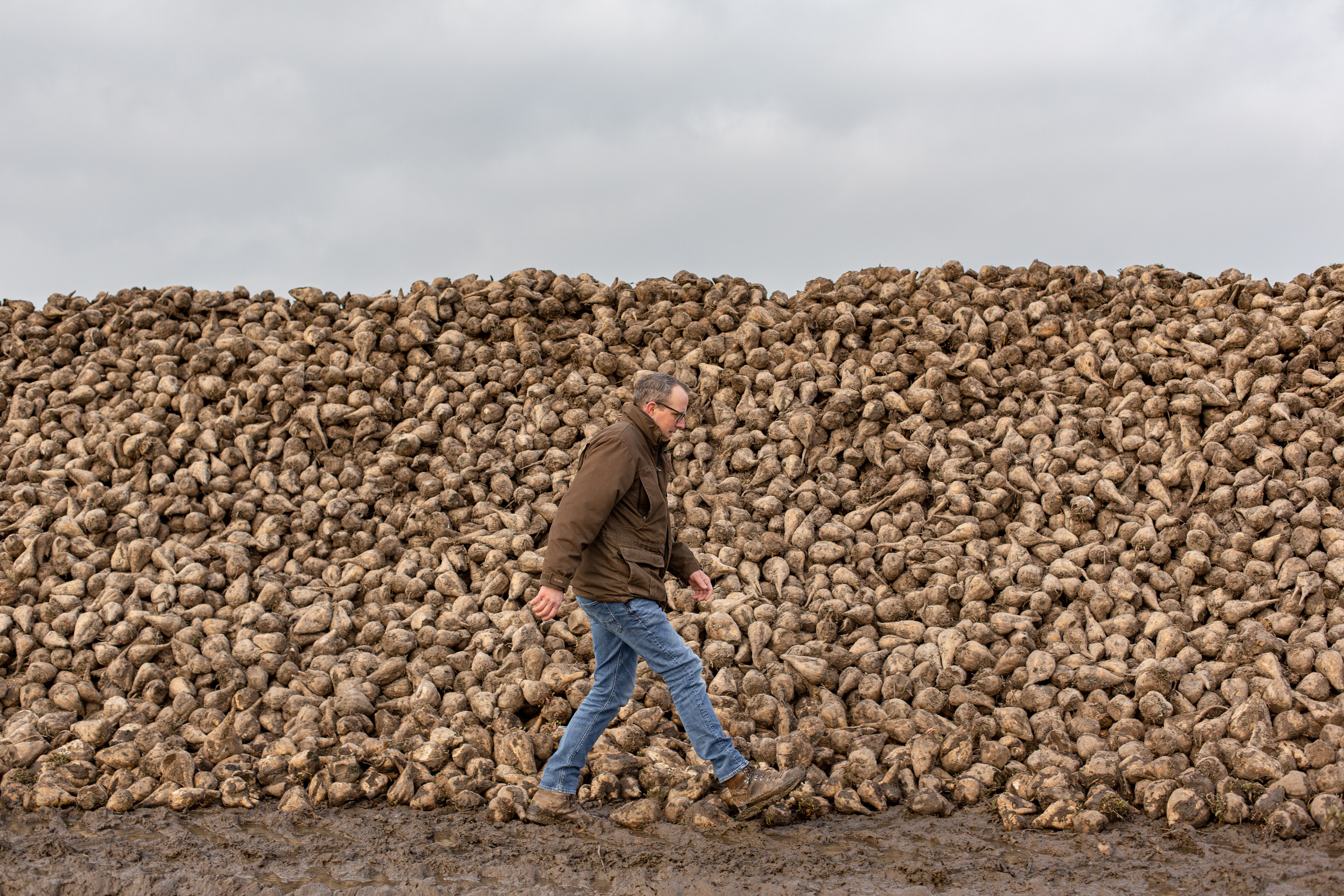 Farmer Christian Flögel walks alongside a sugar beet clamp. A clamp is a type of storage for bulk goods.