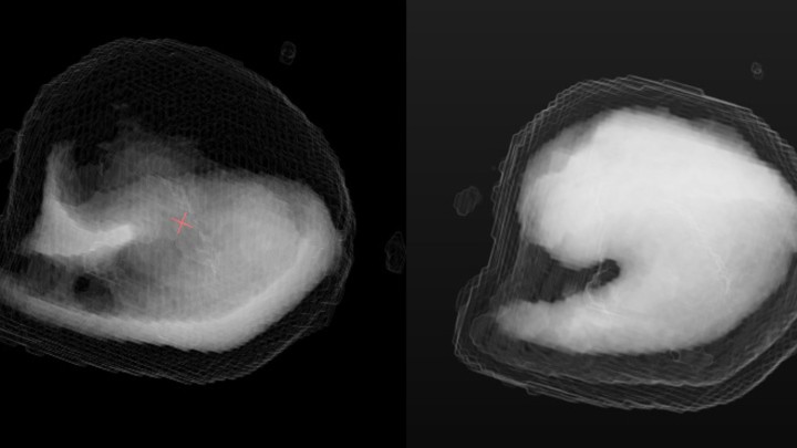 You’ve probably never seen sugarbeet seed in this way: its interior is revealed by the light of the X-ray source.