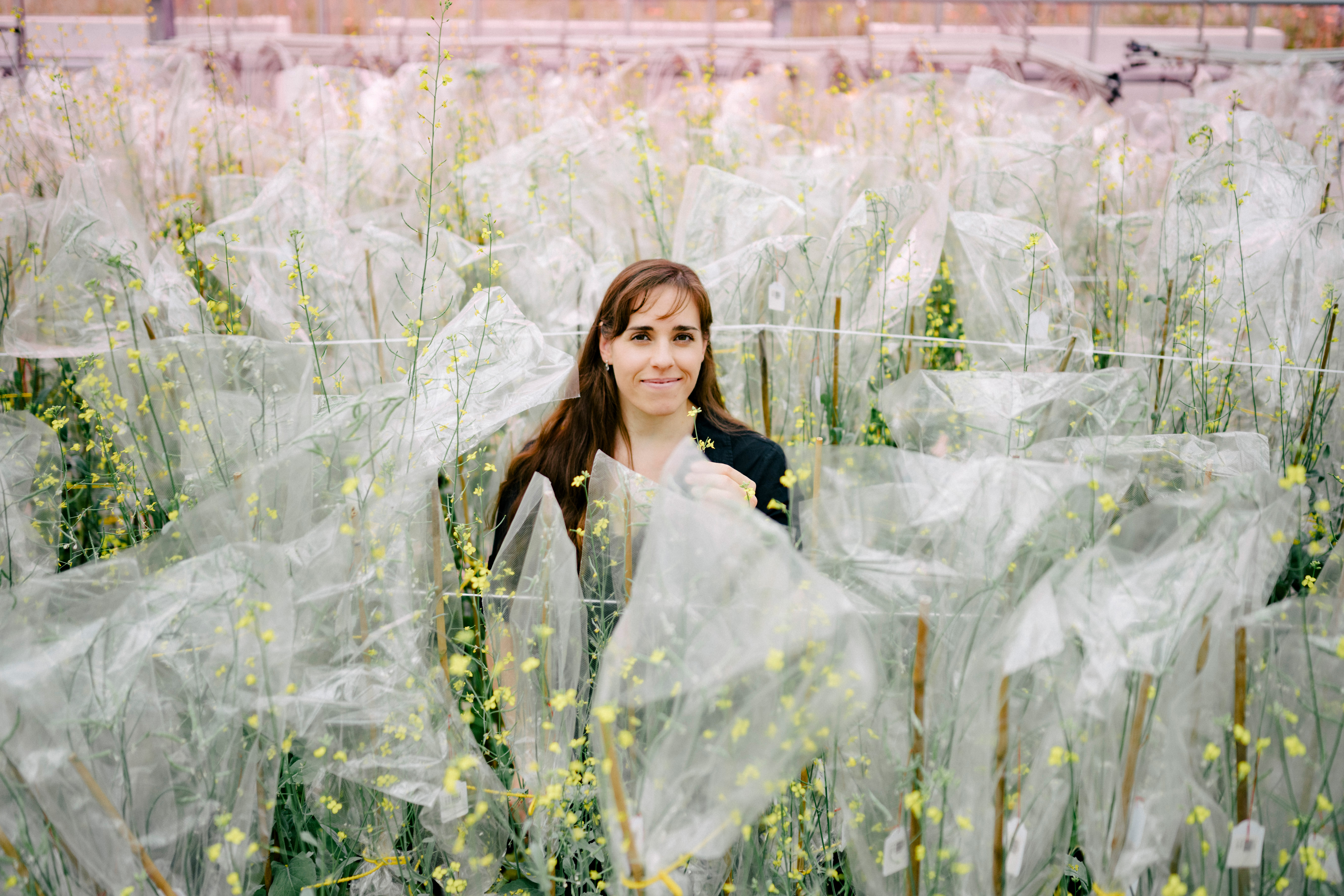 Susann Volkmann, Breeder Oilseed Rape at KWS