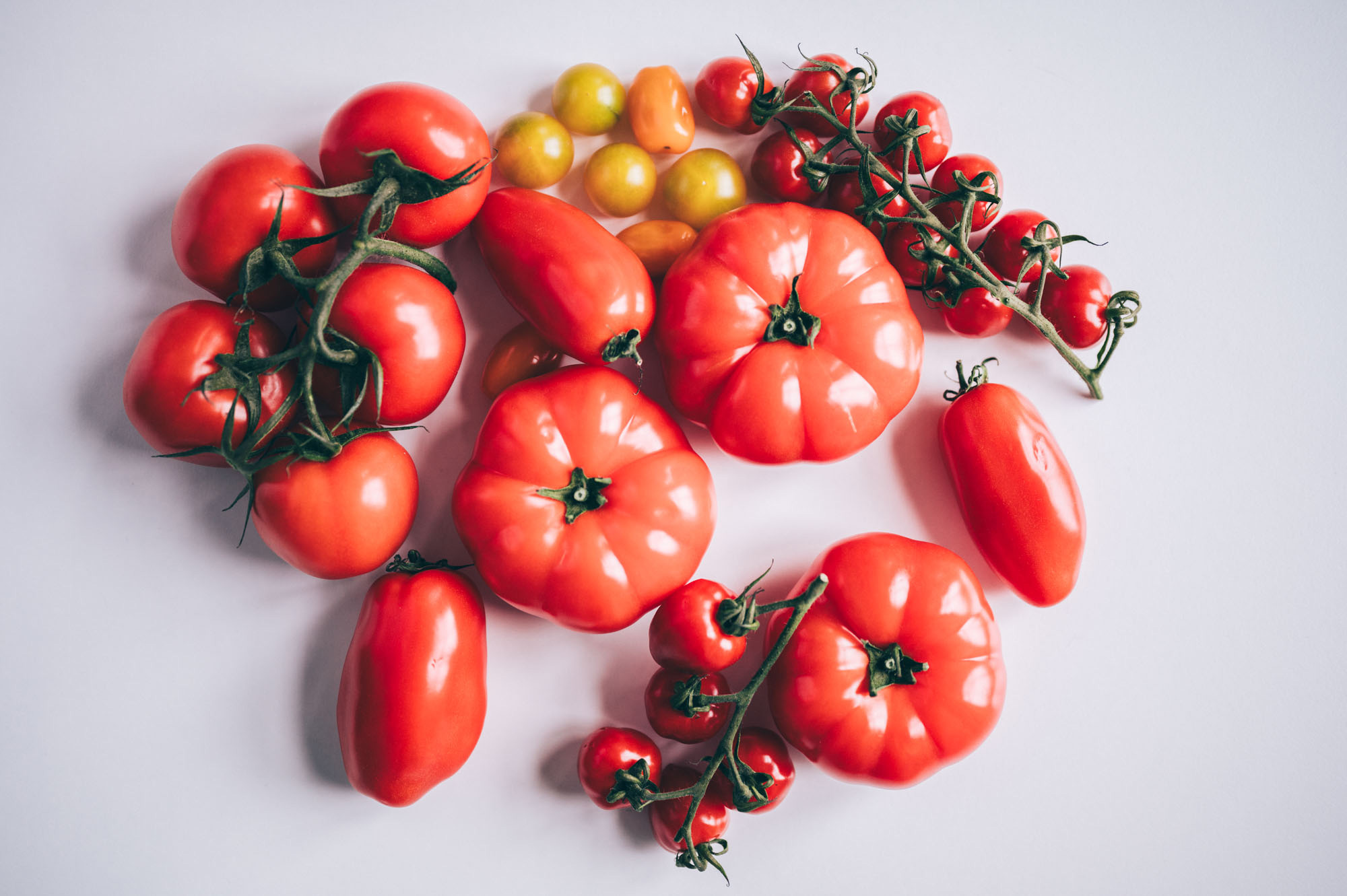 It normally takes 10 to 12 years to develop a variety. With the help of new breeding methods, the breeding process can be shortened by 20 to 30 percent.
