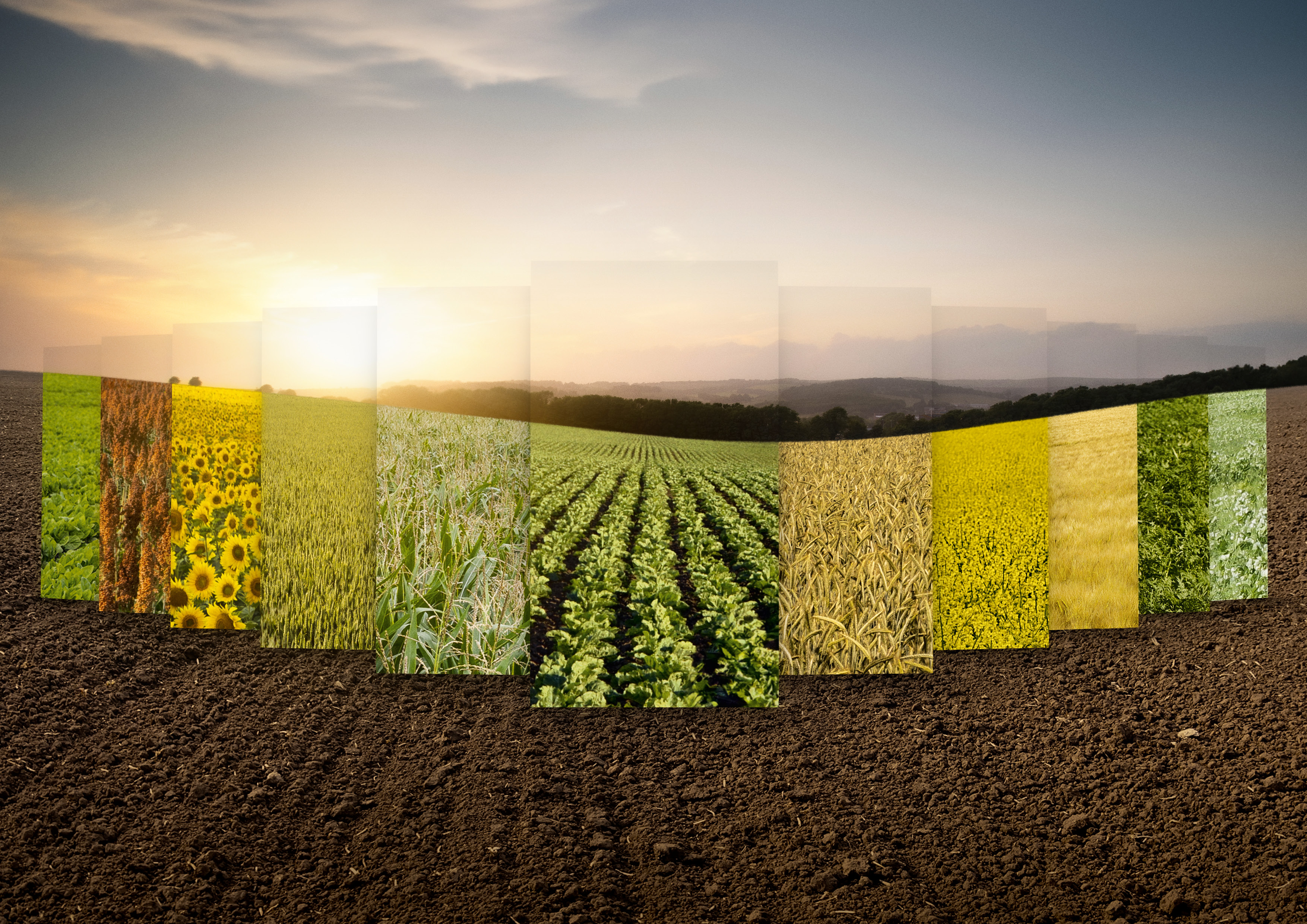 kws_8701_03_imm_visual_only_dina4_landscape_hilly_terrain_11_crops_1.jpg