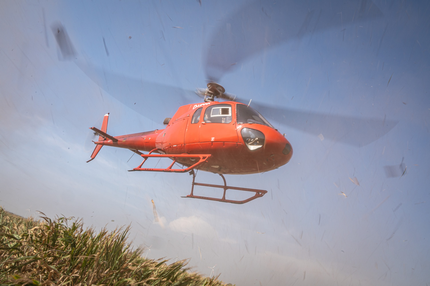 Bei seinem Flug etwa 10 Meter über dem Bestand kann der Helikopter verschiedene Sturmstärken simulieren