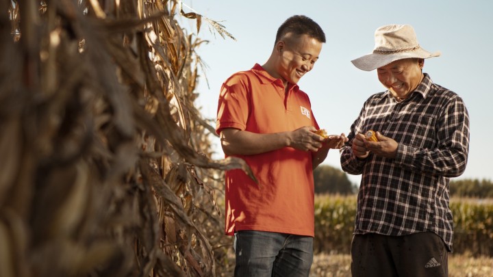 Landwirt Zhanwu Wang steht mit einem KWS-Saatgutberater auf einem Maisfeld.