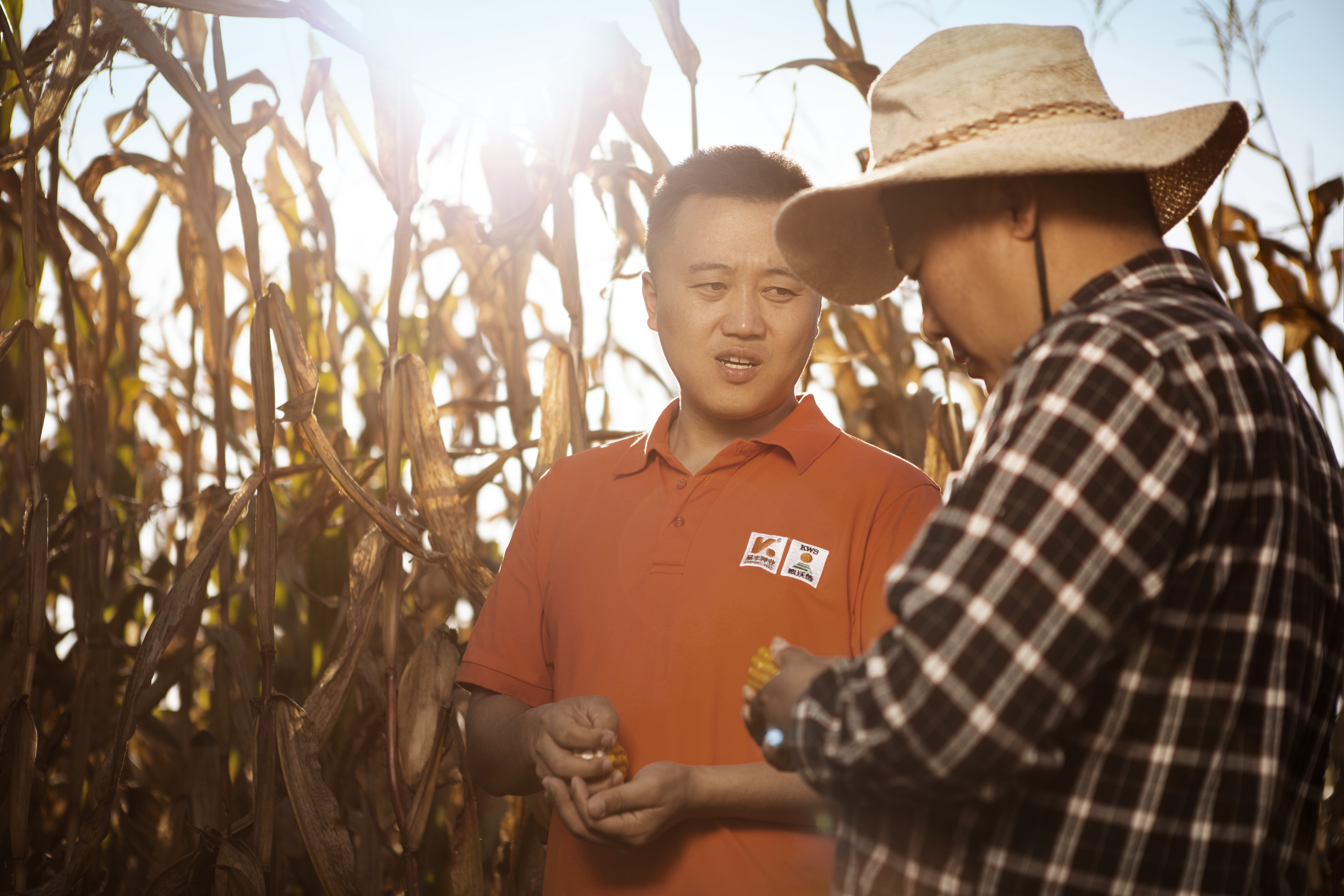 Landwirt Zhanwu Wang haelt einen Maiskolben in der Hand, während ein KWS-Saatgutexperte mit ihm spricht.