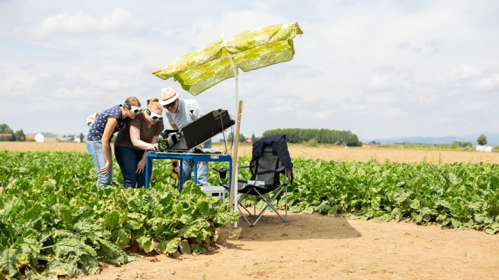 Freiluft-Forschungslabor: Die Systeme aus Jülich und Clausthal, eine Wetterstation, eine Drohne mit Kamera und Züchter mit ihrer jahrelangen Erfahrung steuern gemeinsame Daten zum „Data Plant“-Projekt bei.
