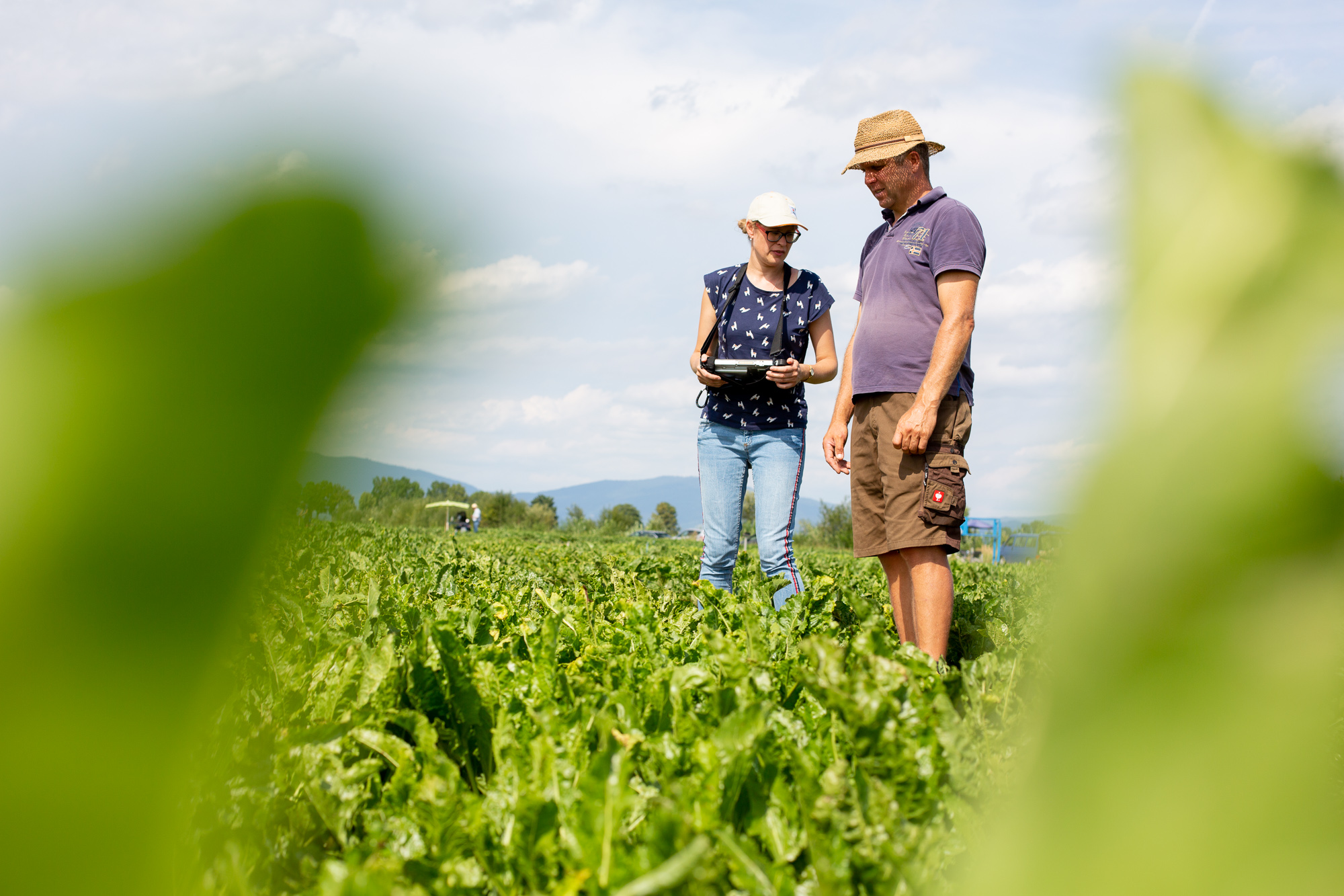 Ludmilla Dahl, Züchtungsexpertin von KWS, steht mit Anton Nachreichen, dem Regionalbetreuer des Zuckerrüben-Versuchsfelds von KWS in Plattling (Bayern), zwischen den gepflanzten Zuckerrüben.