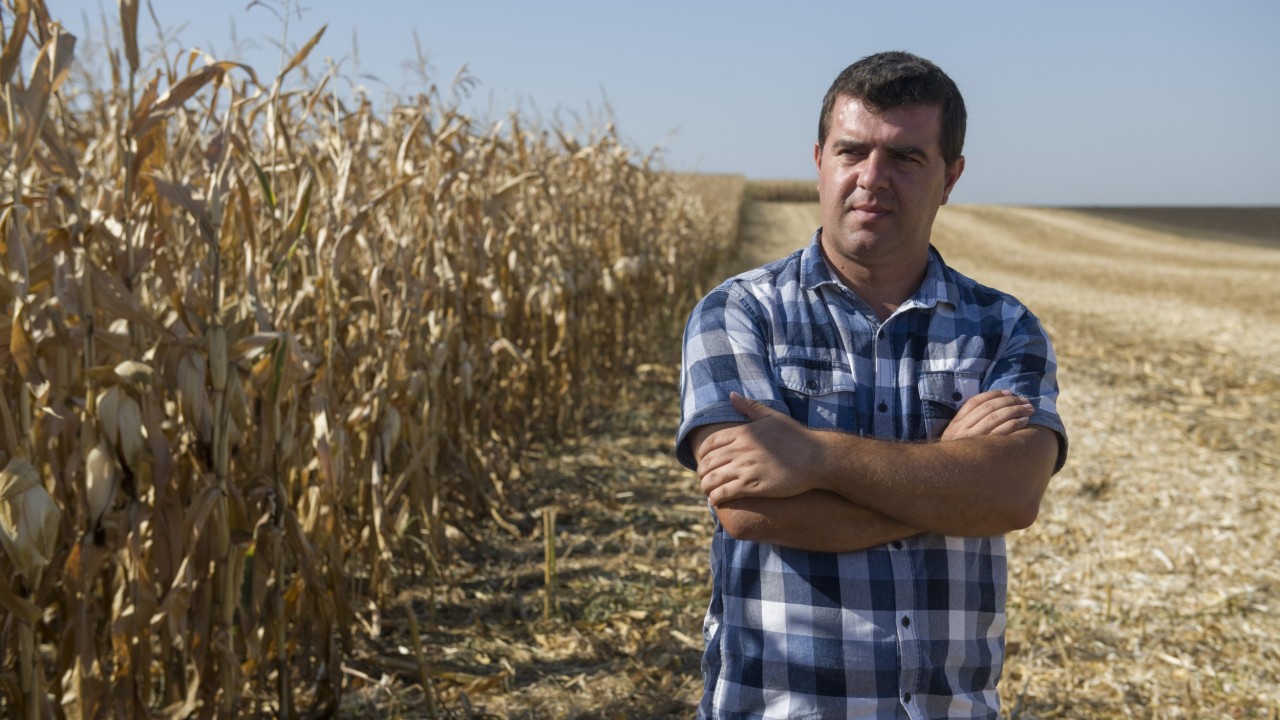 Landwirt Marcu Răzvan steht mit verschränkten Armen vor einem trockenen Maisfeld.