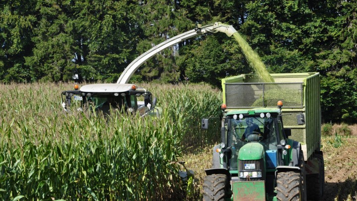 KWS-Harvest-Corn-Field-Tractor.jpg