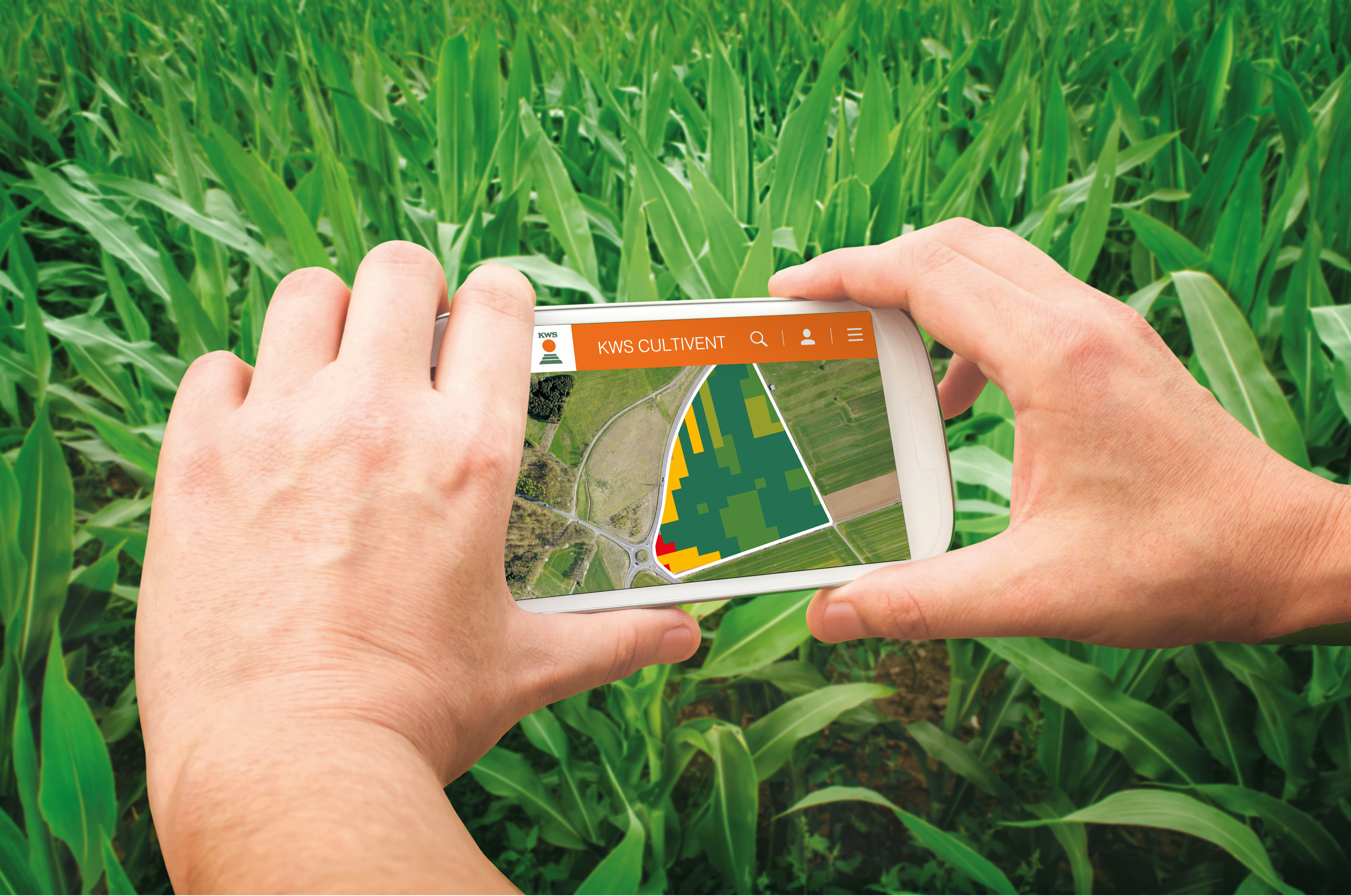 KWS-SAT-TS-Monitoring-Smartphone-Closeup-Corn-Field.jpg