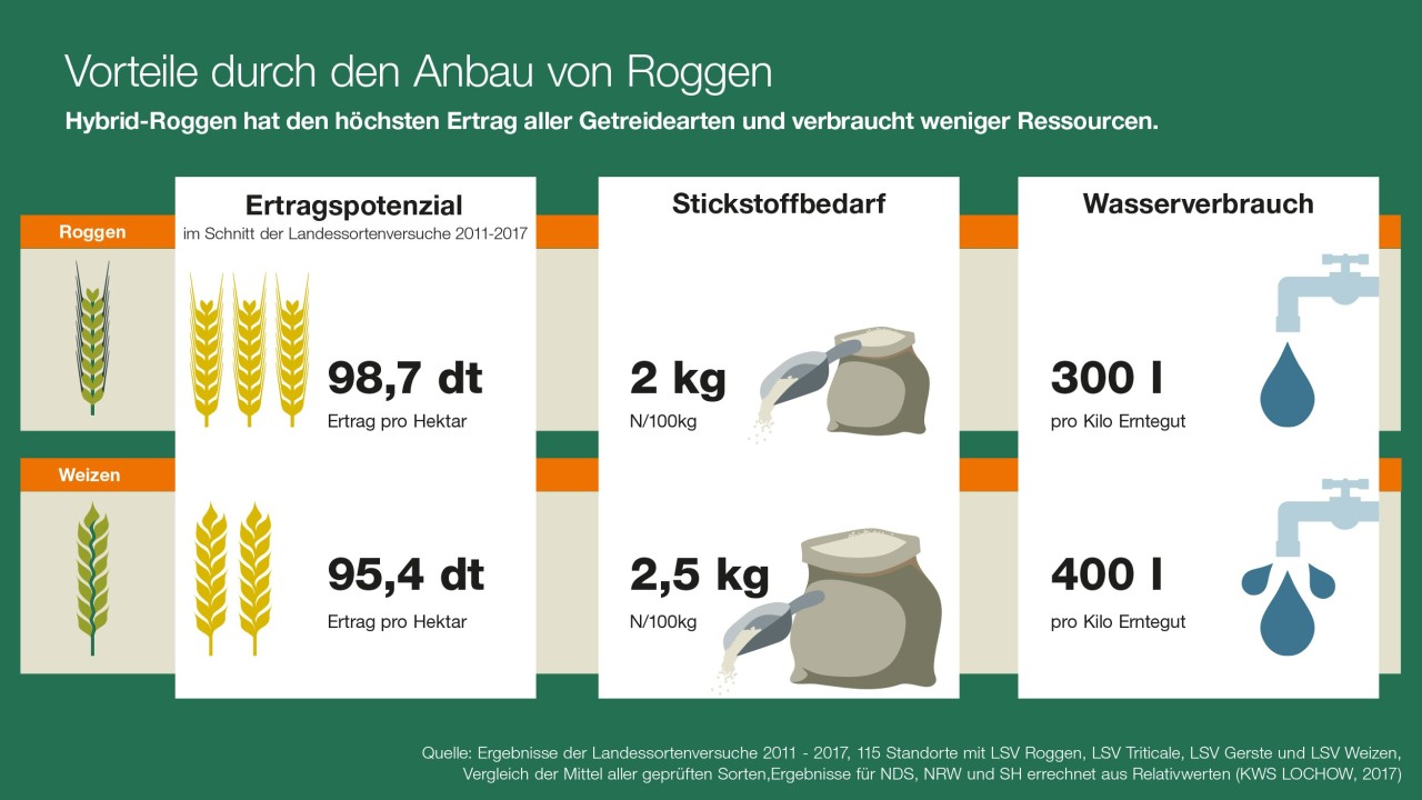 KWS_roggen_schweinemast_infografik.jpg