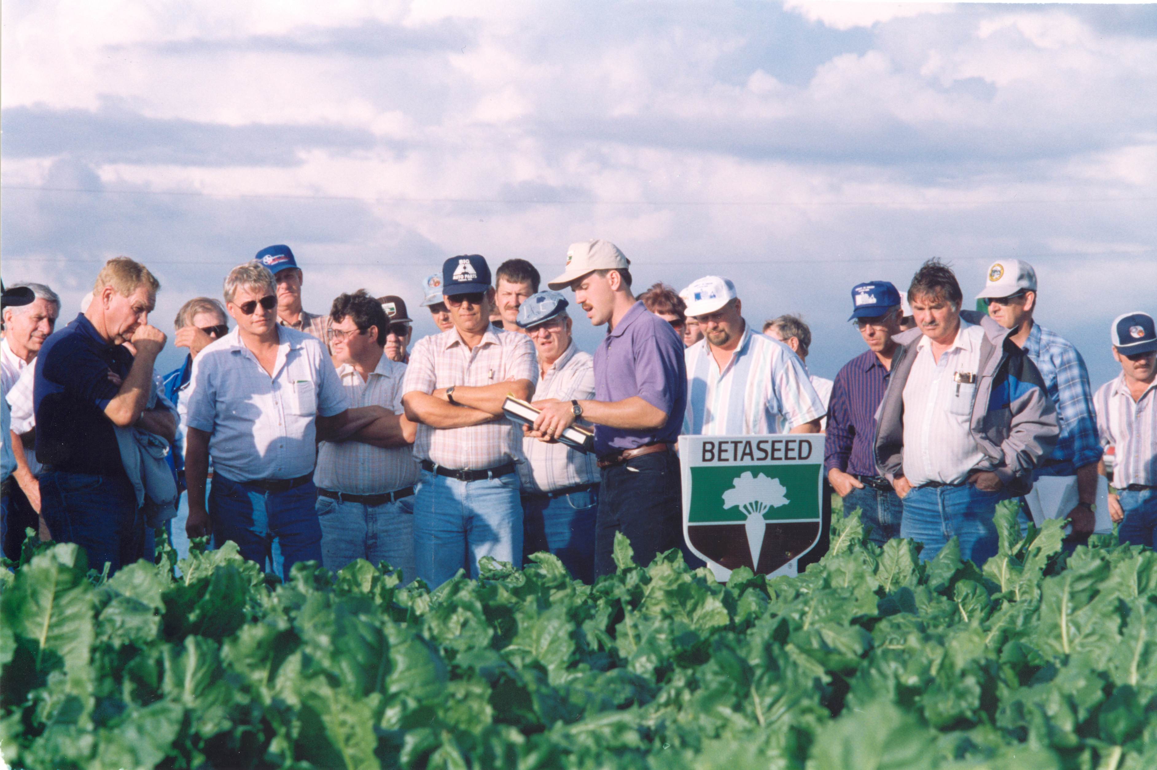 Amerikanische Landwirte bei der Zuckerrübenprüfung im Feld