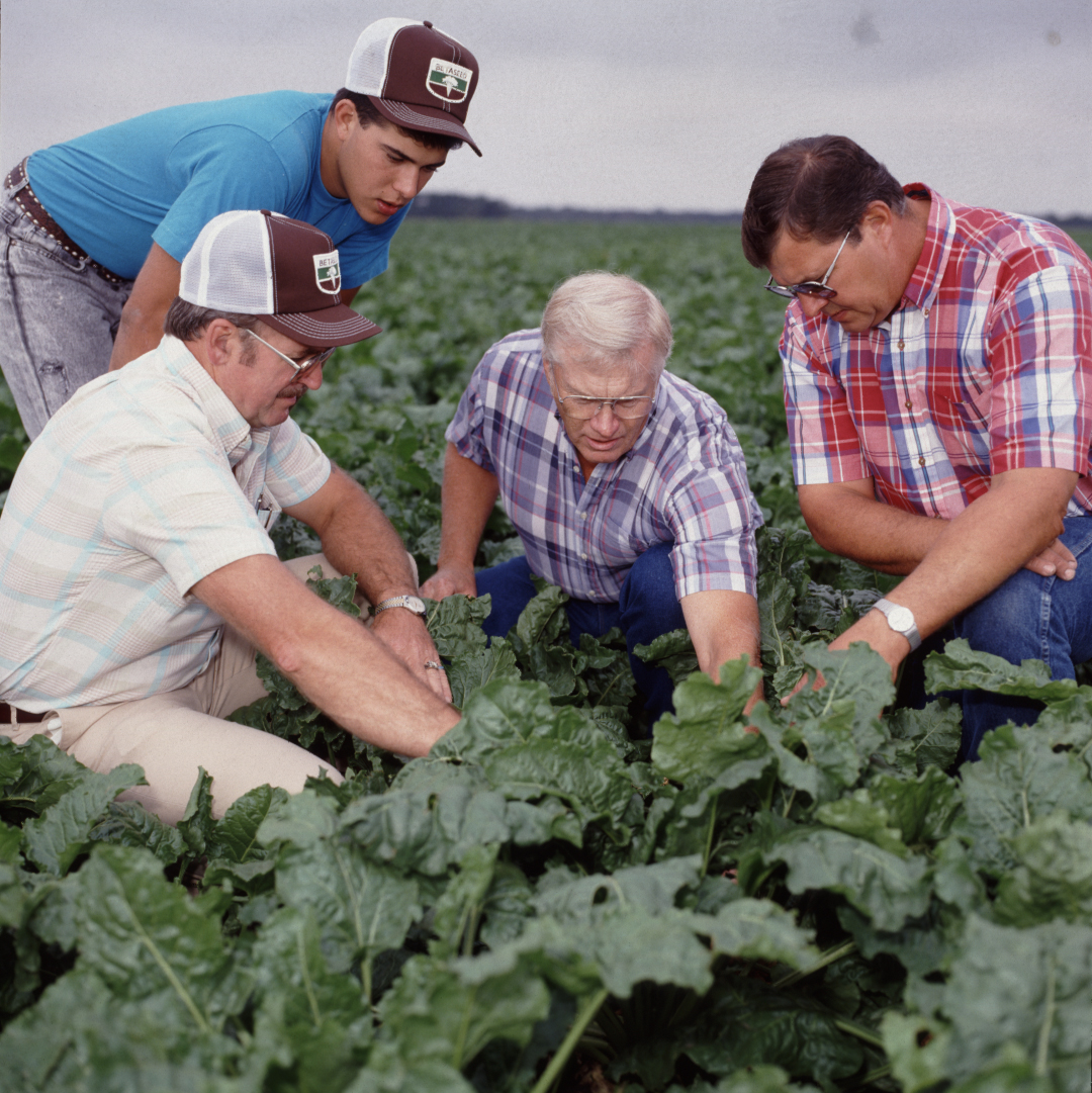 Zamestnanci Betaseed pri kontrole porastu na farme v USA