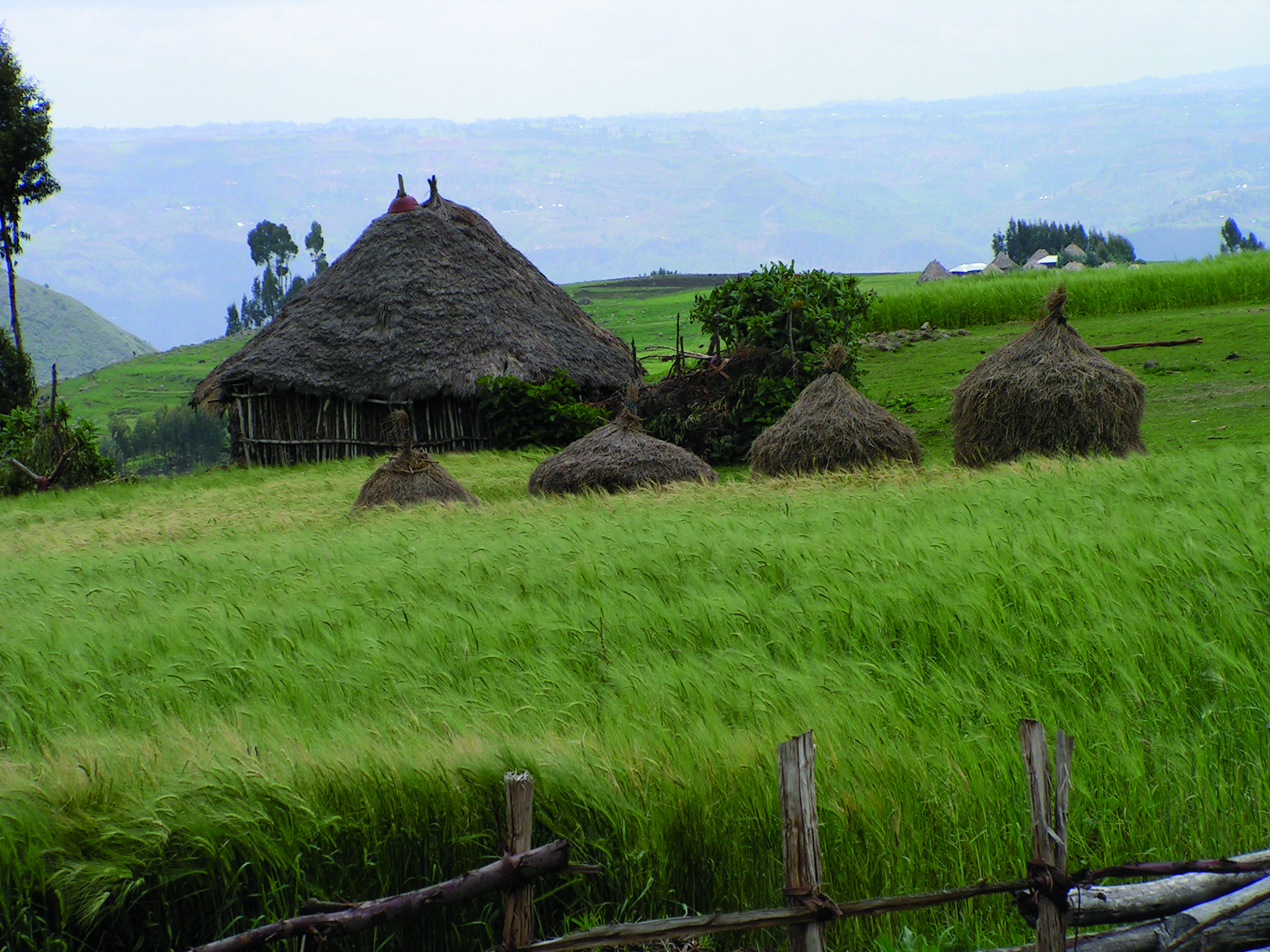 Äthiopisches Dorf