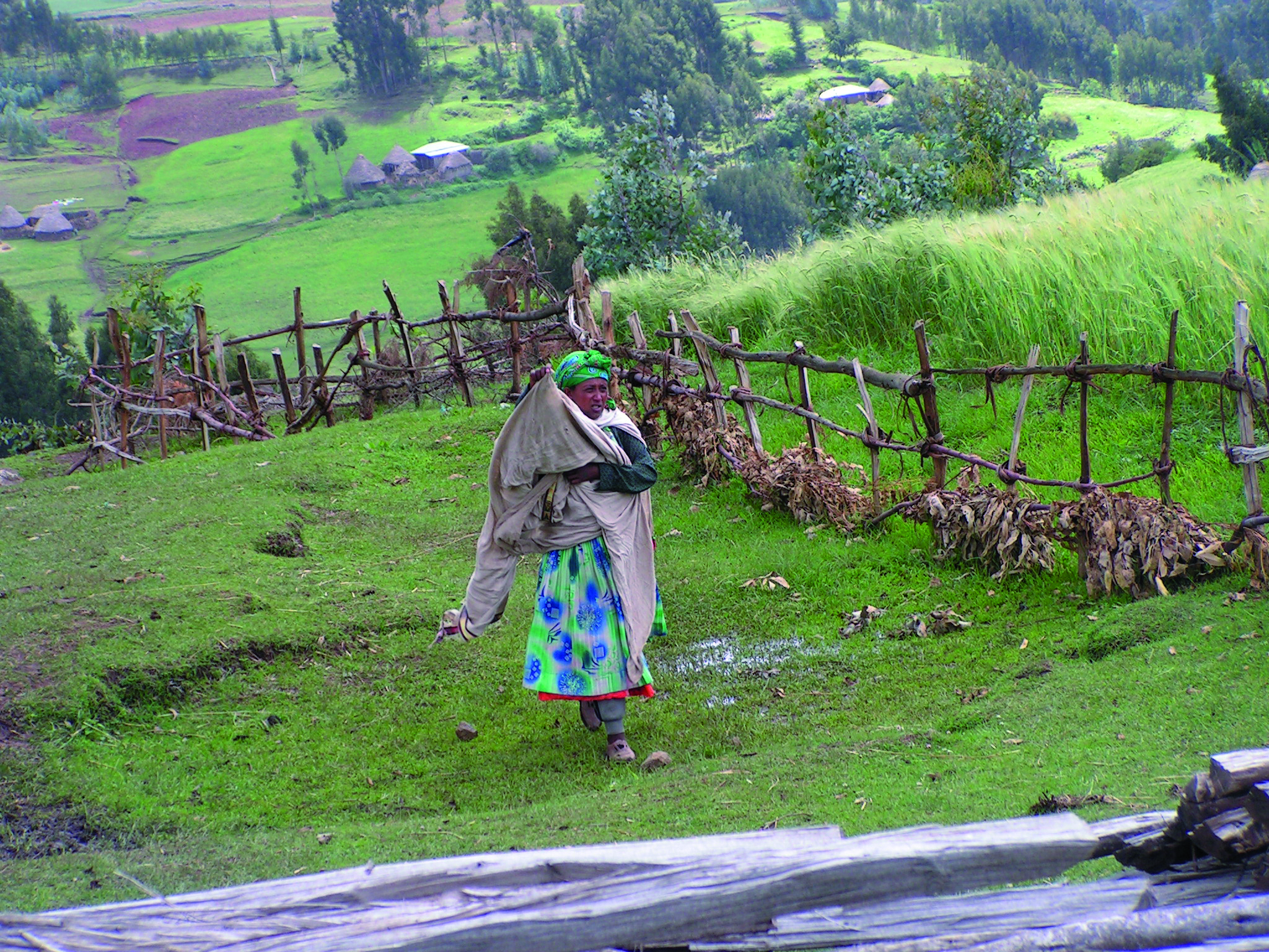 Äthiopische Frau auf dem Heimweg von der Feldarbeit