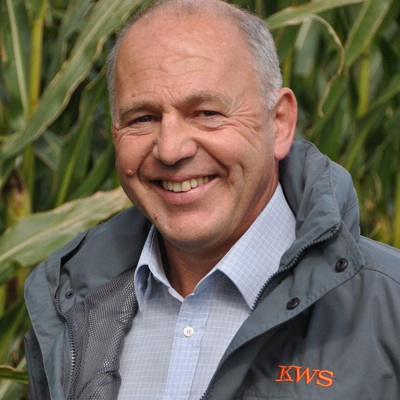 New seed treatment to replace TMTD and Mesurol on KWS maize - News ...