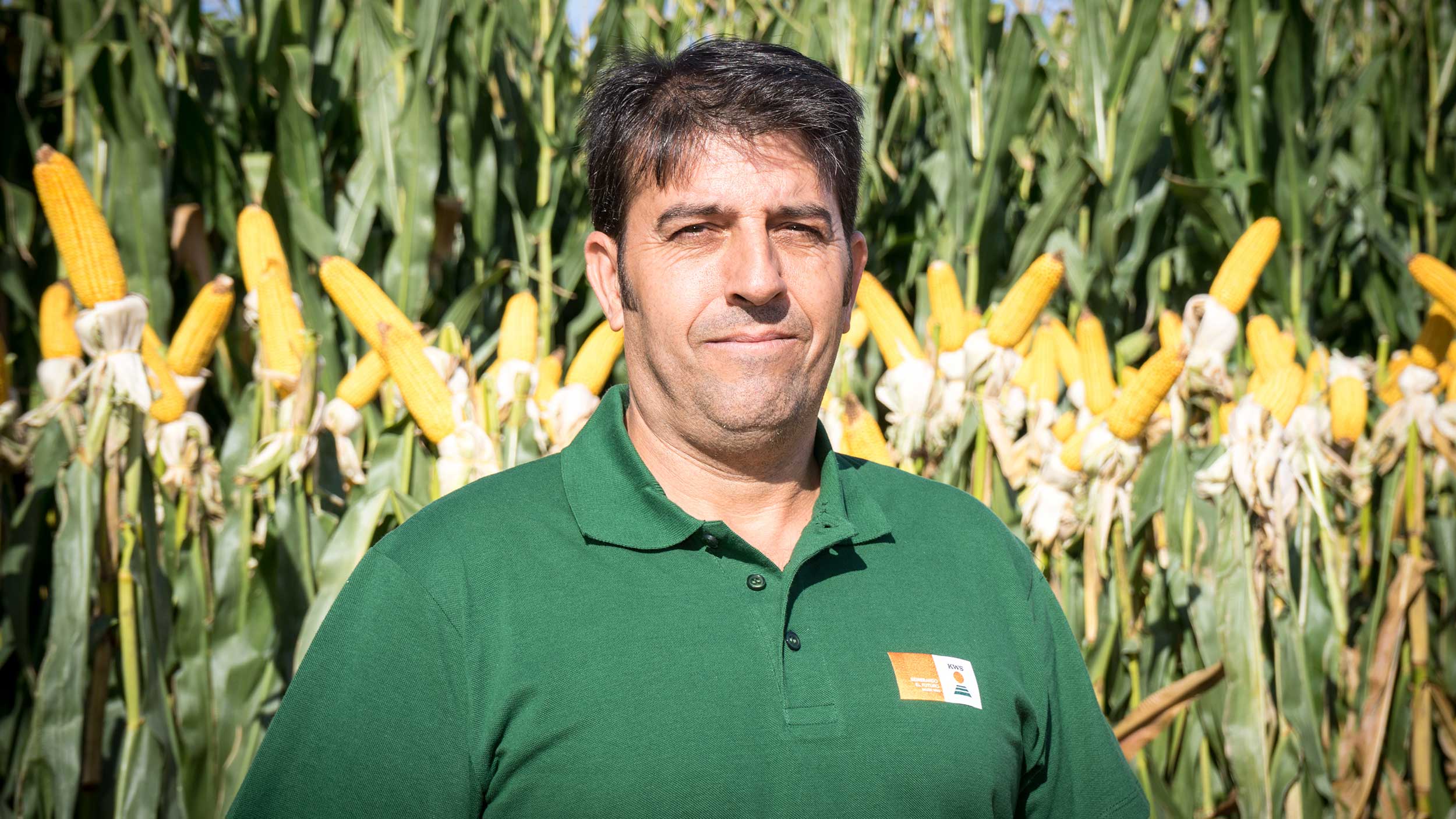 cesar jimenez consultor maiz kws semillas iberica