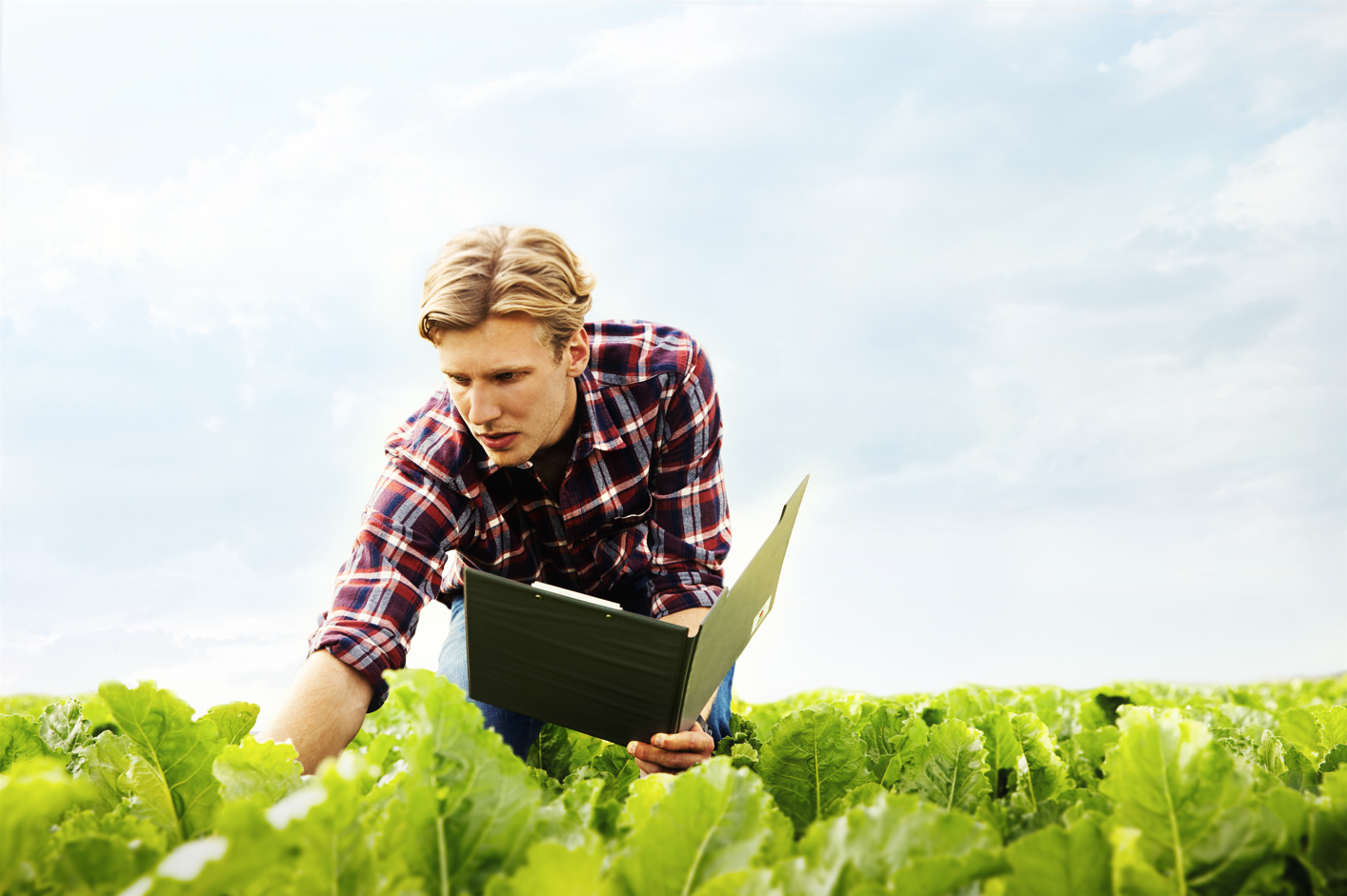 KWS-field-sugarbeet-heroshot-with-ipad.png
