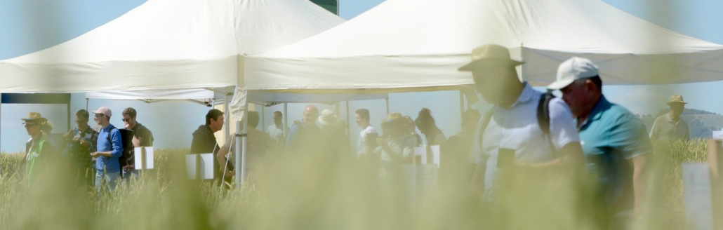 KWS-OEKO-2022-05-30-header-image.jpg
