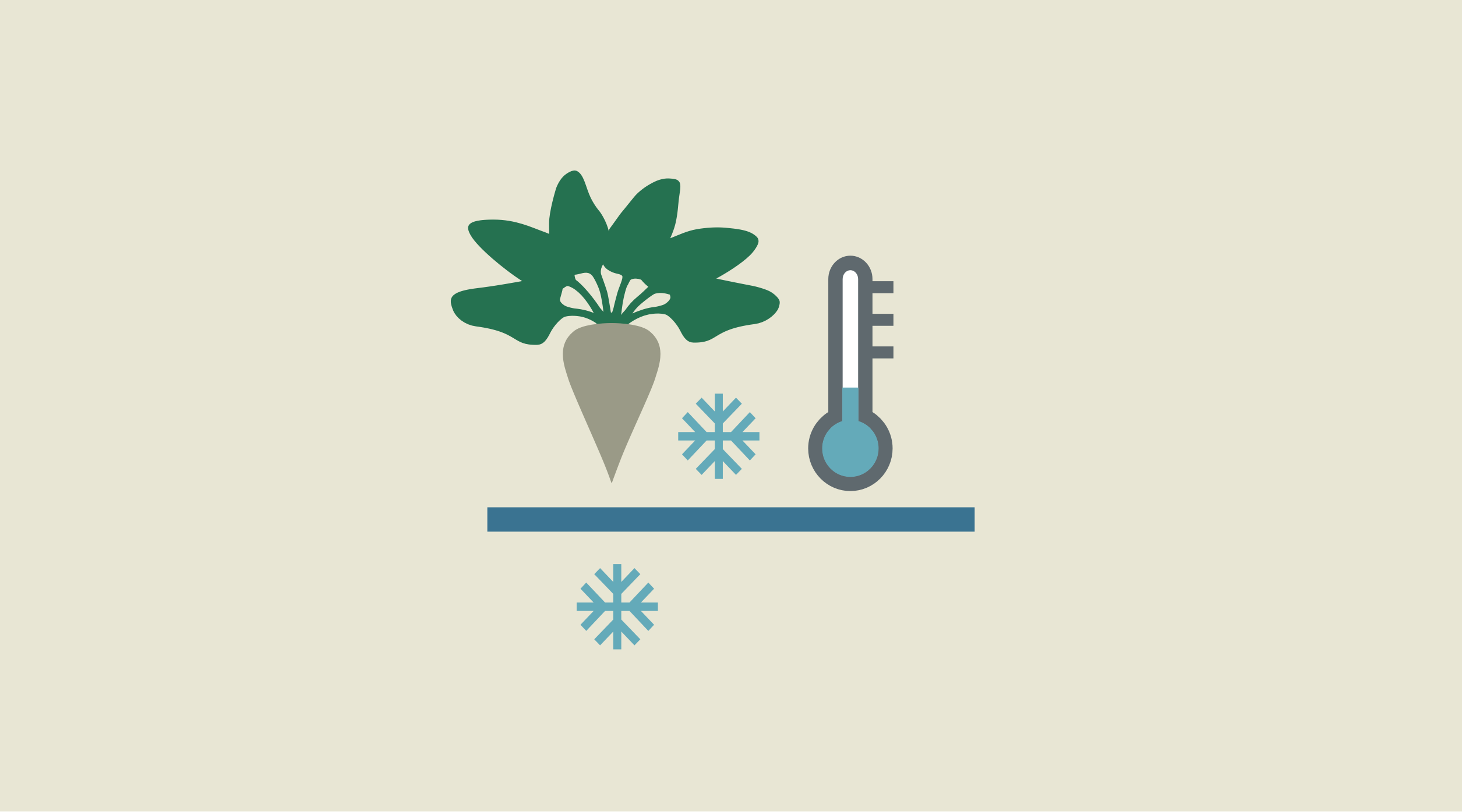 KWS-Tool-Icon-Frost-Timer-Widescreen.png
