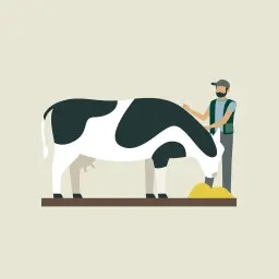 Asesor de alimentación de la vaca lechera
 