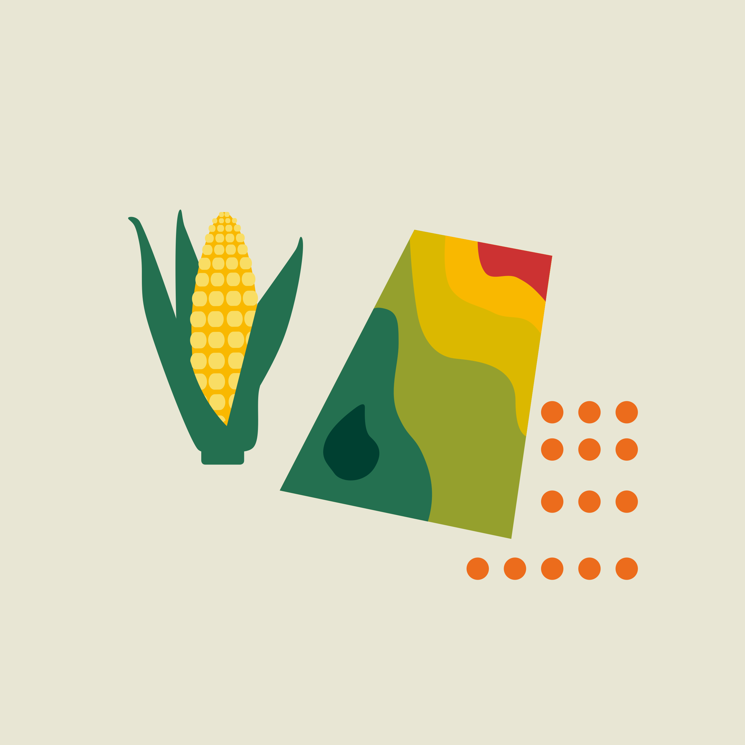 Icon for KWS Seed Service Tool