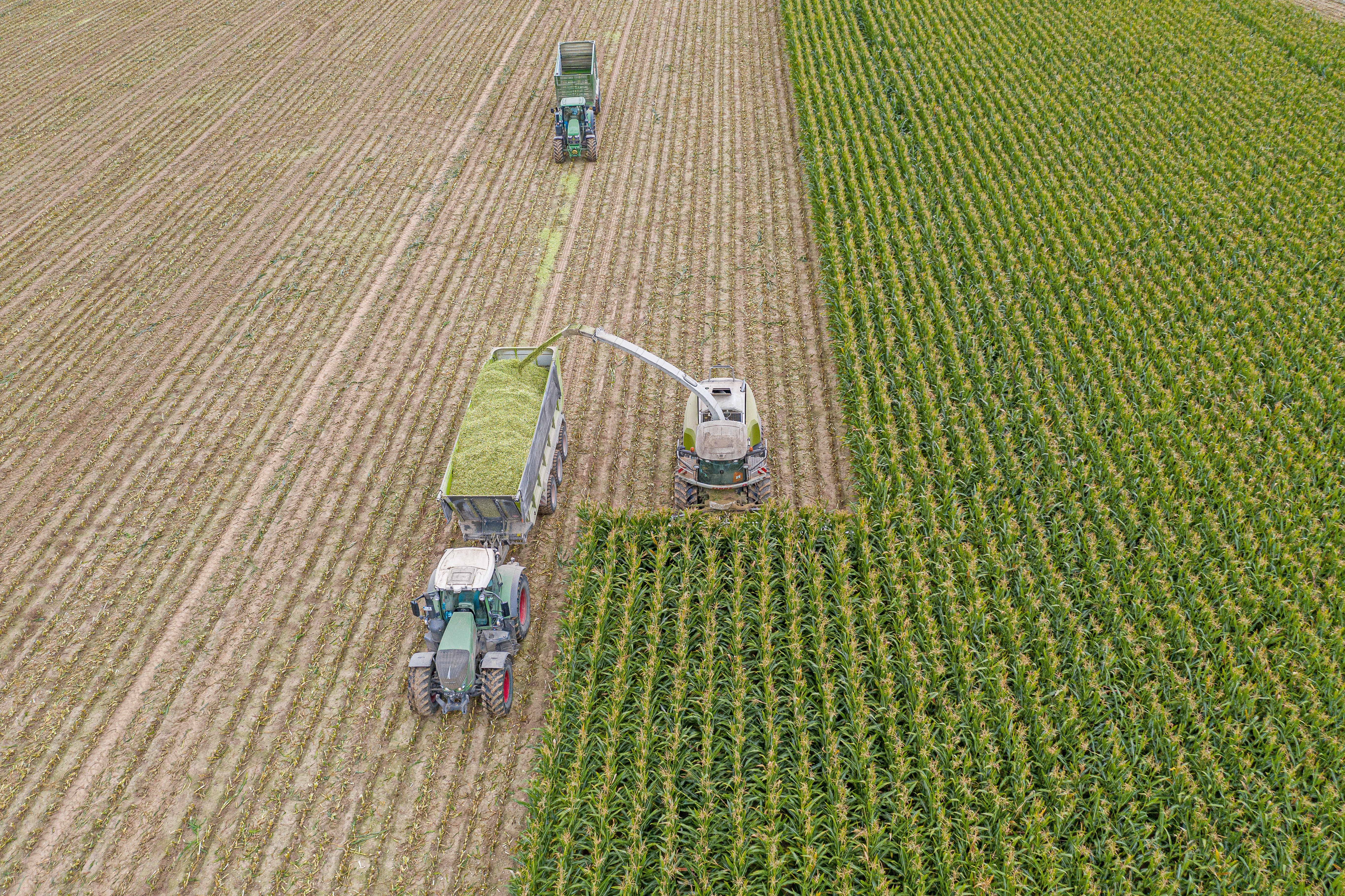 corn_harvest_drone_shot_DJI_0698.jpg