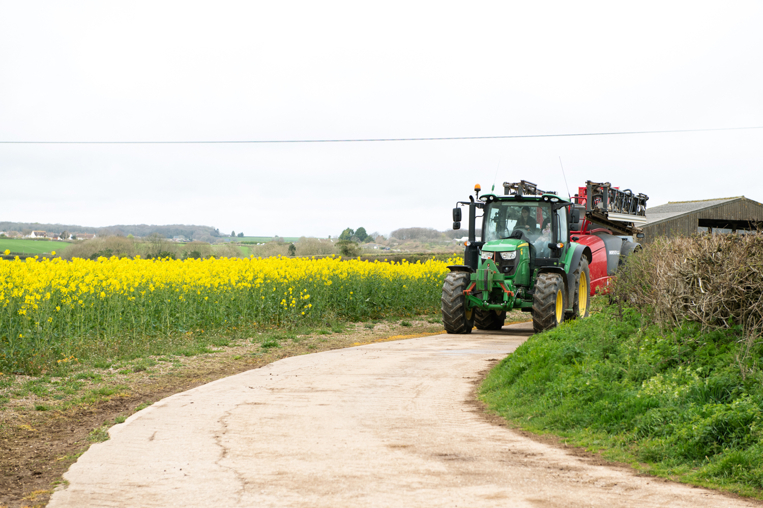 rapeseed_scenery.jpg