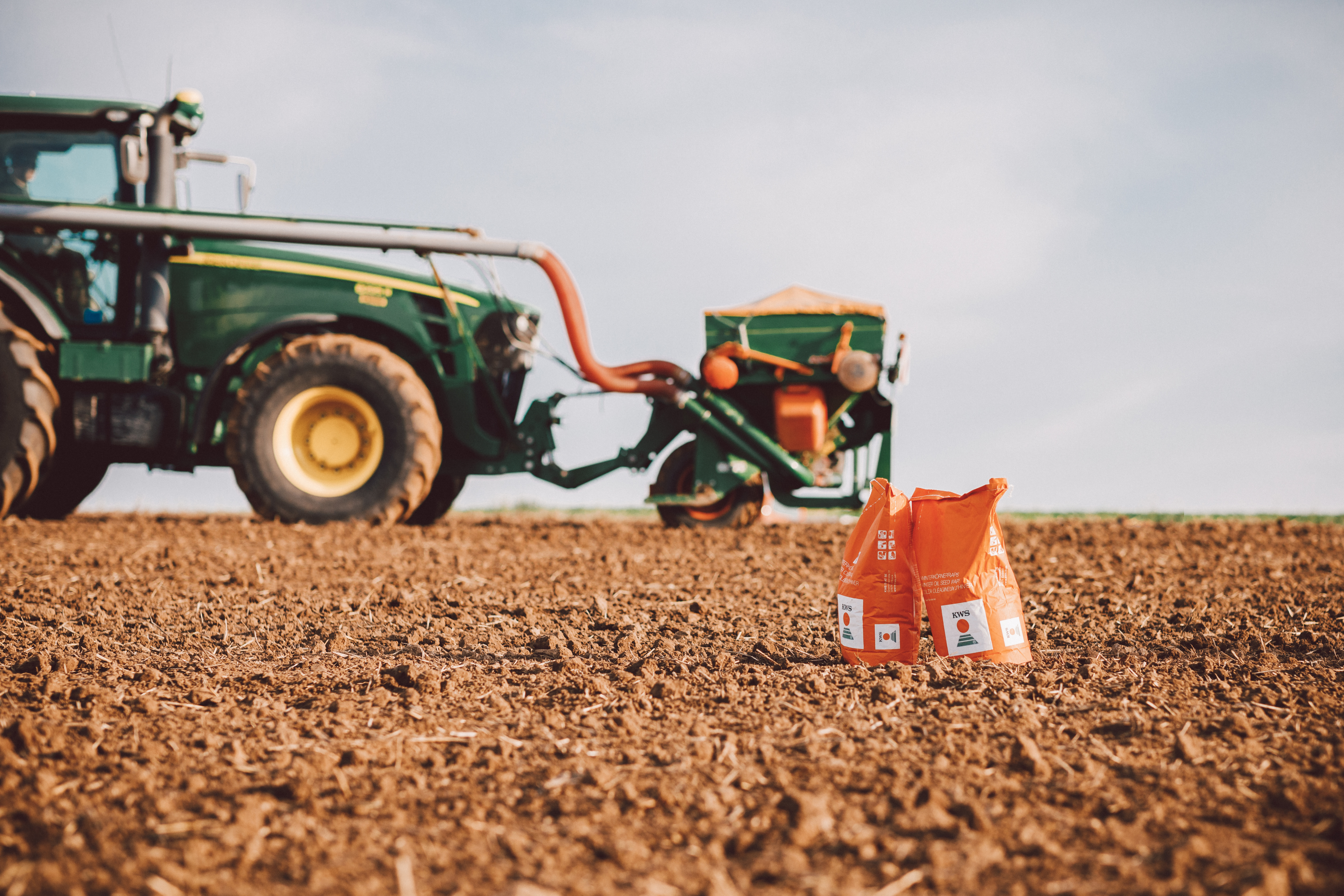 rapeseed_sowing_007.jpg