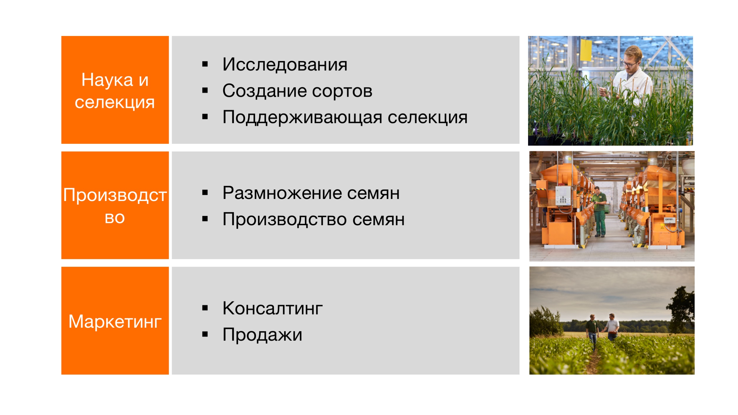 kws_company_business_areas_ru.jpg